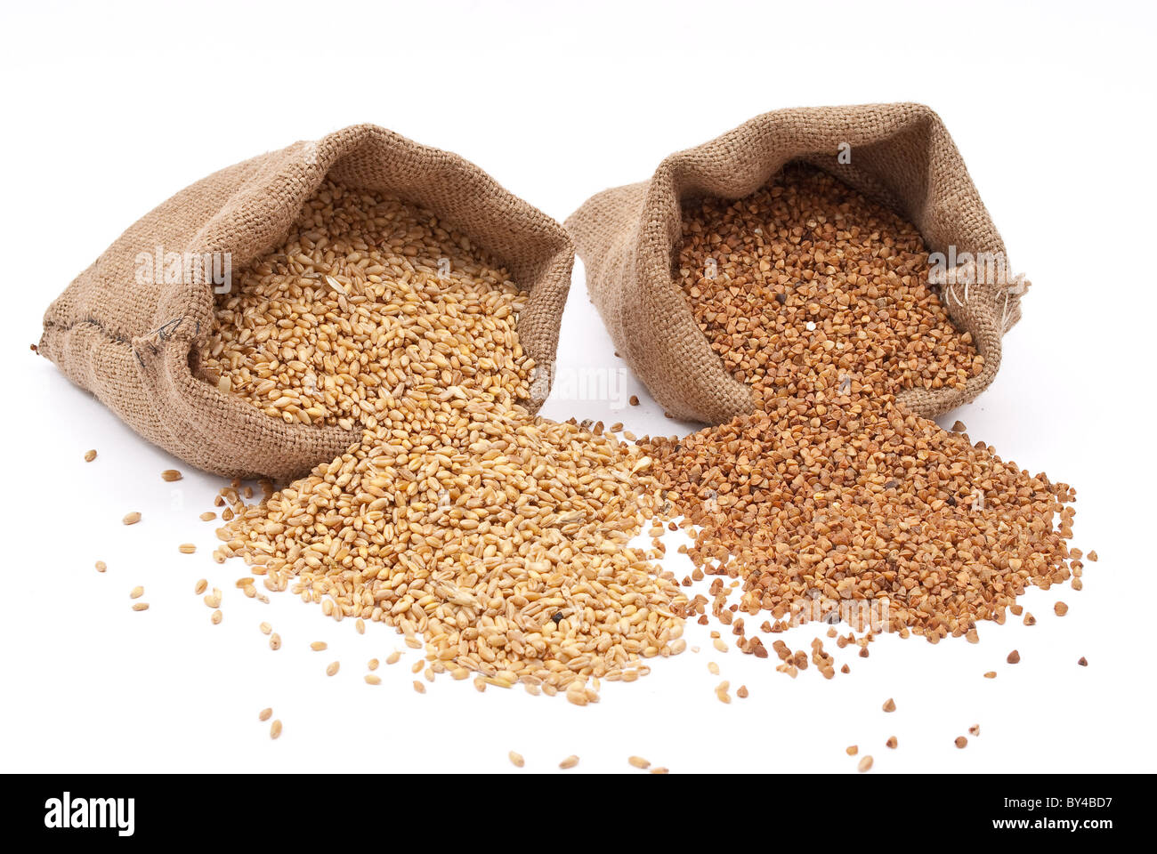 Sacos de arpillera con grano de trigo y alforfón Foto de stock
