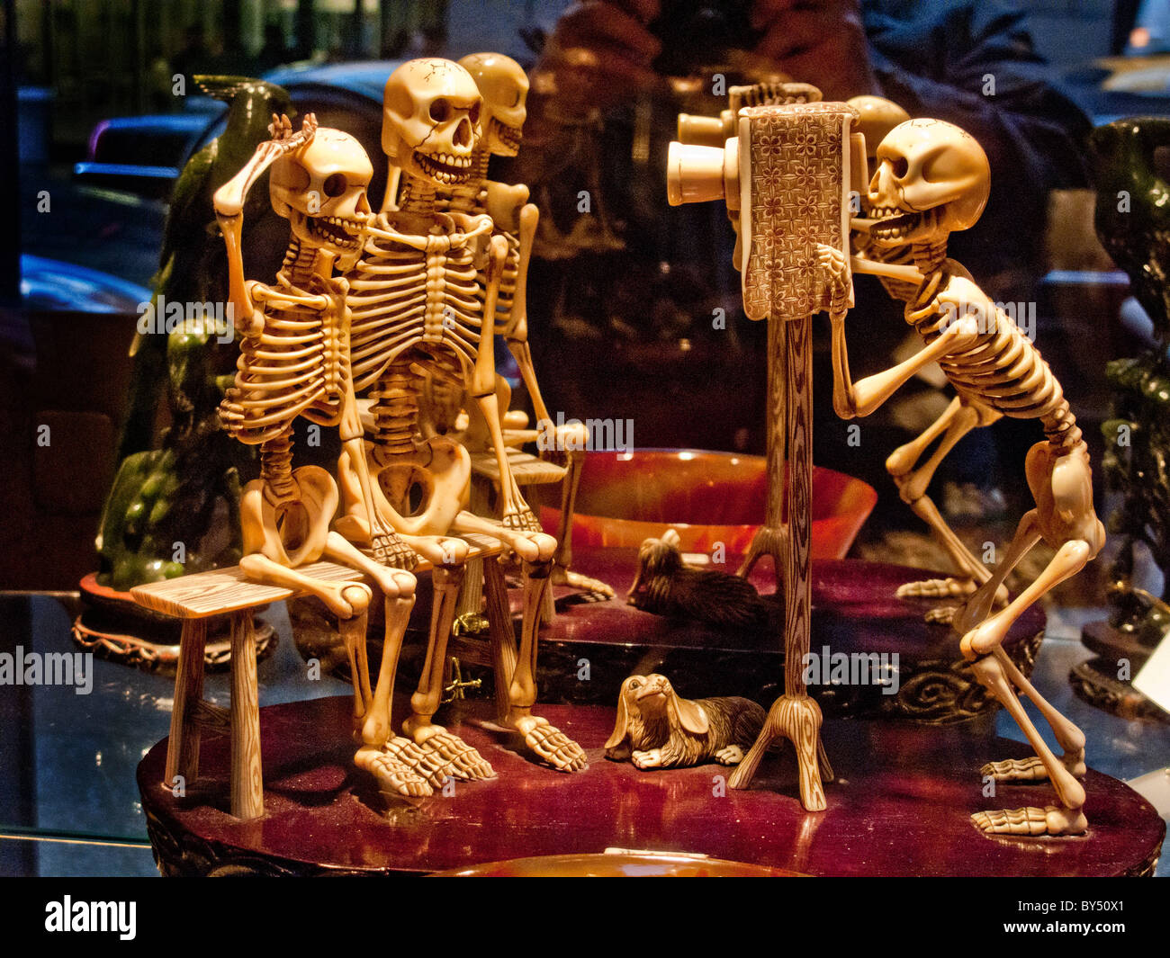 Una novedad de la talla de un esqueleto fotógrafo fotografiando un esqueleto de familia está a la venta en una tienda en la Ciudad de Nueva York. Nota perro. Foto de stock