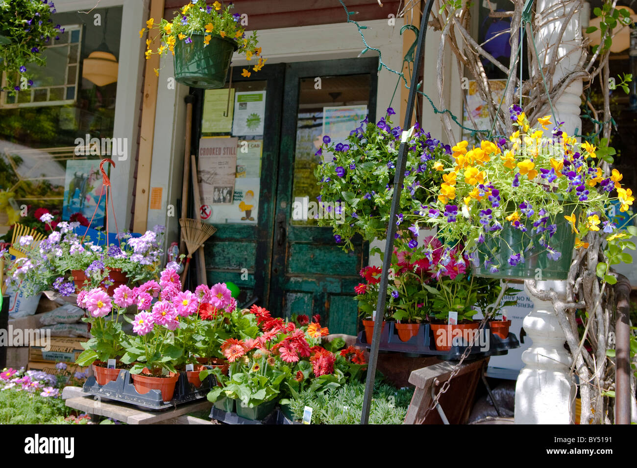 Ashfield Hardware y tienda de abastecimientos, con flores en la parte delantera para la venta Foto de stock