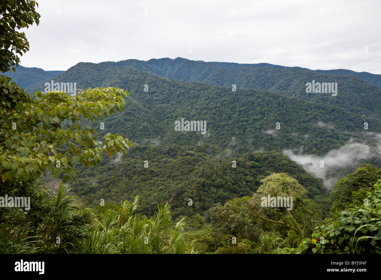 La selva tropical y bosque nublado abarcan el Parque Nacional Braulio Carrillo en la provincia de Heredia, Costa Rica. Foto de stock