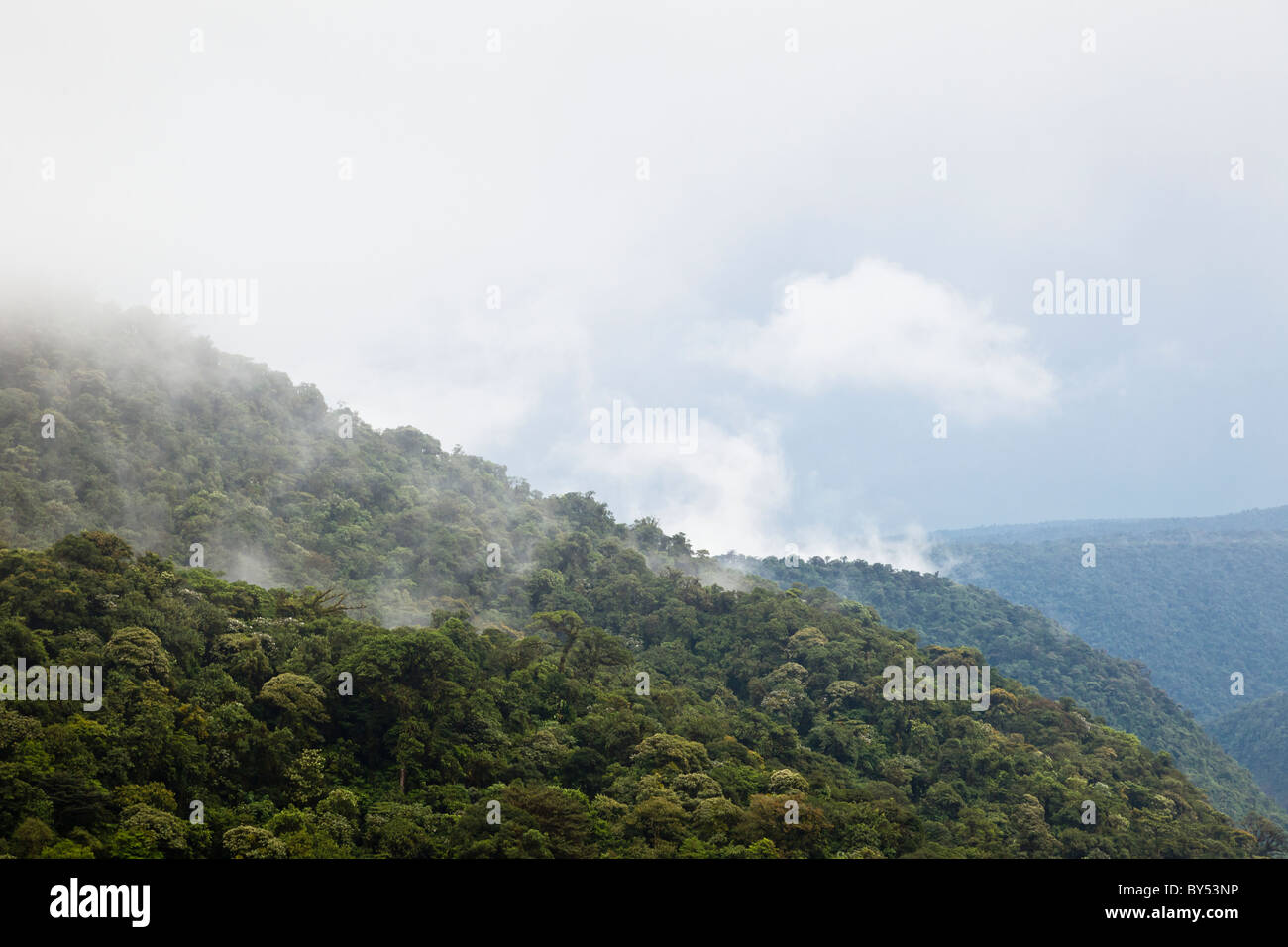 La selva tropical y bosque nublado abarcan el Parque Nacional Braulio Carrillo en la provincia de Heredia, Costa Rica. Foto de stock