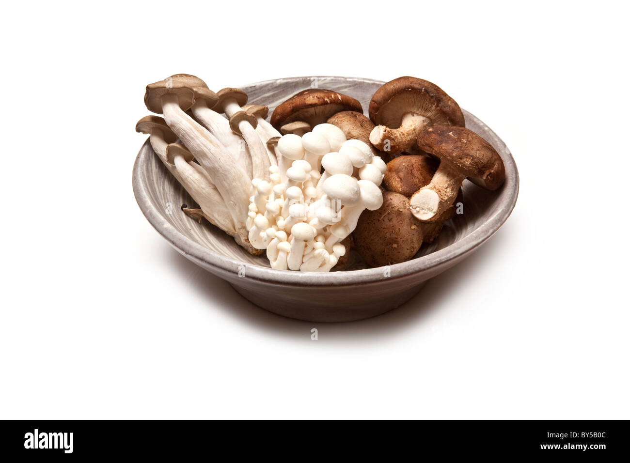 Tazón de China, setas Enoki,honshimeji y Shitake aislado sobre un fondo blanco studio