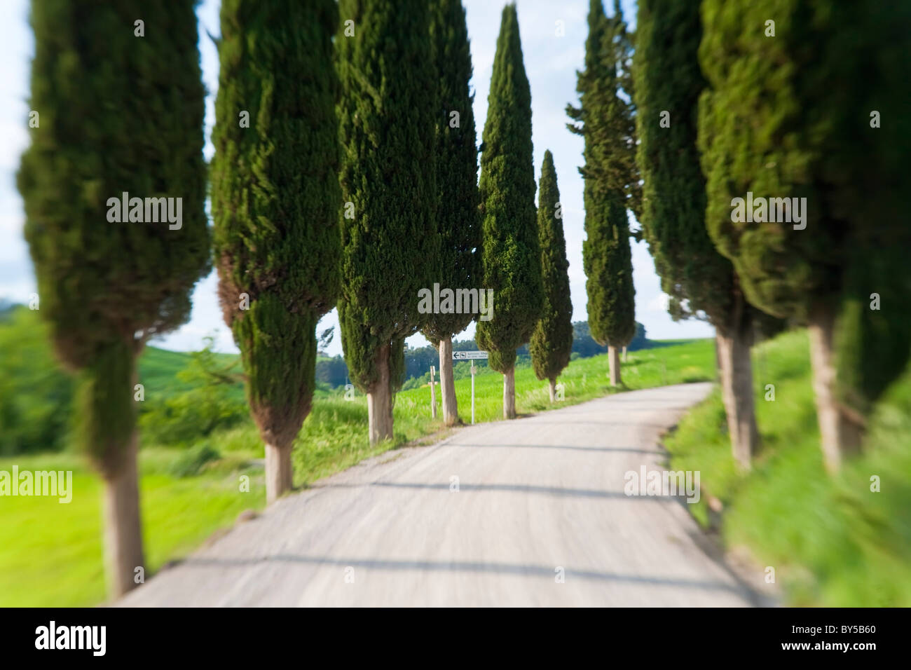 Winding Road, nr Pienza, Toscana, Italia Foto de stock
