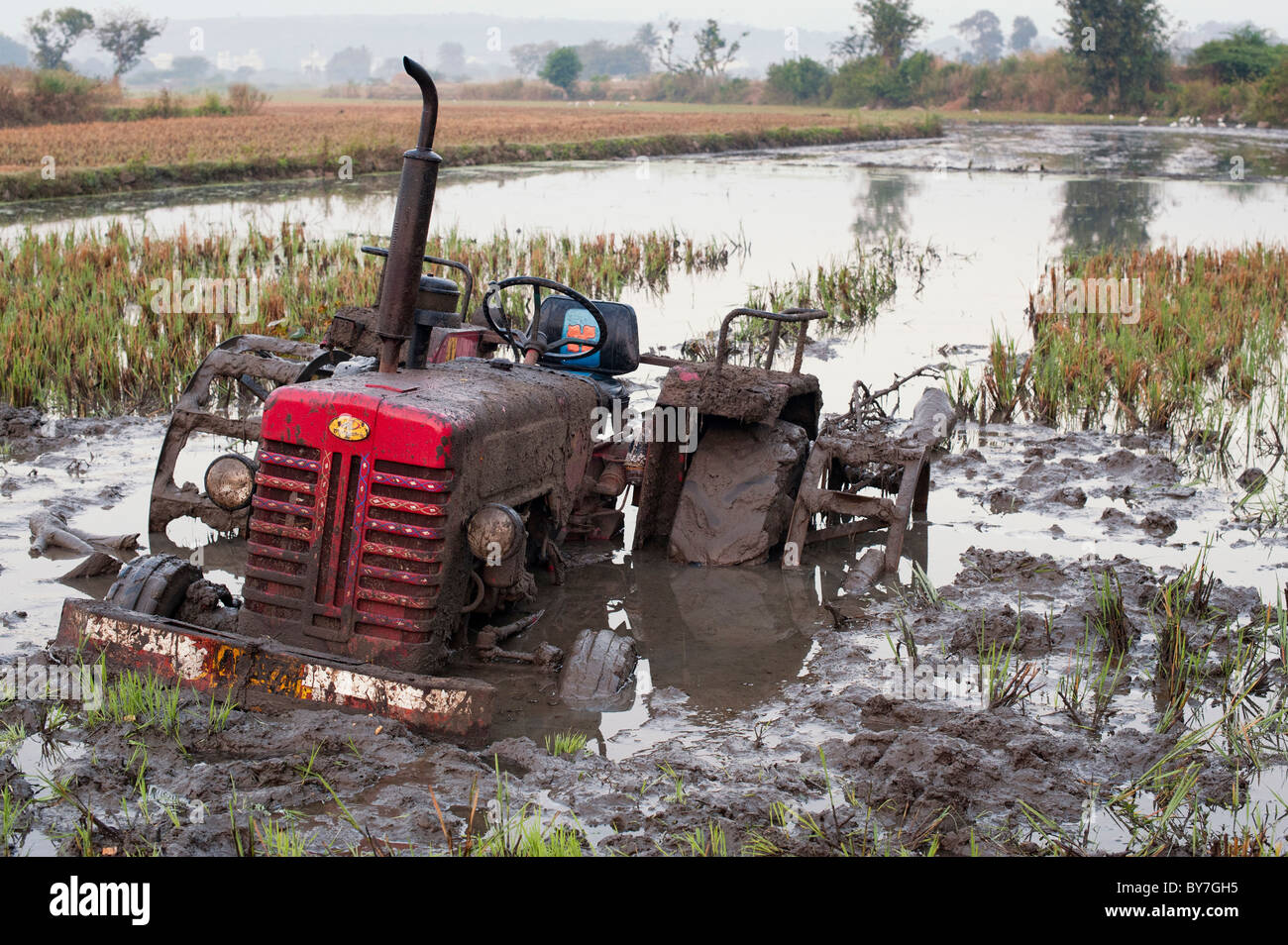 Indian tractor atascado en el barro de arroz. En Andhra Pradesh, India