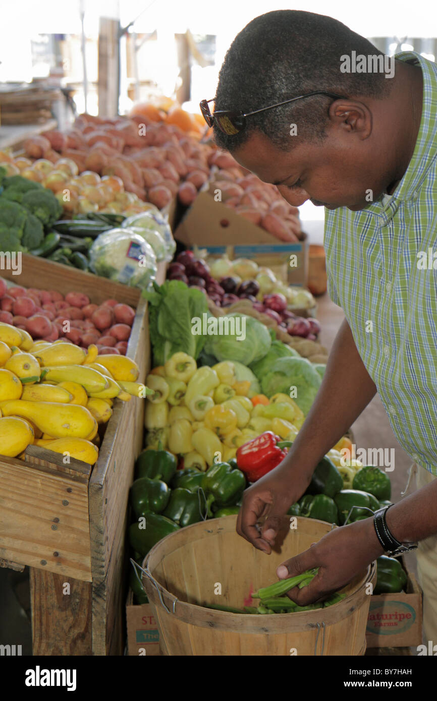Verduras en venta, Reliance Fresh, almacén departamental, Reliance Retail,  supermercado, Hyderabad, Andhra Pradesh, Telengana, India, Asia Fotografía  de stock - Alamy