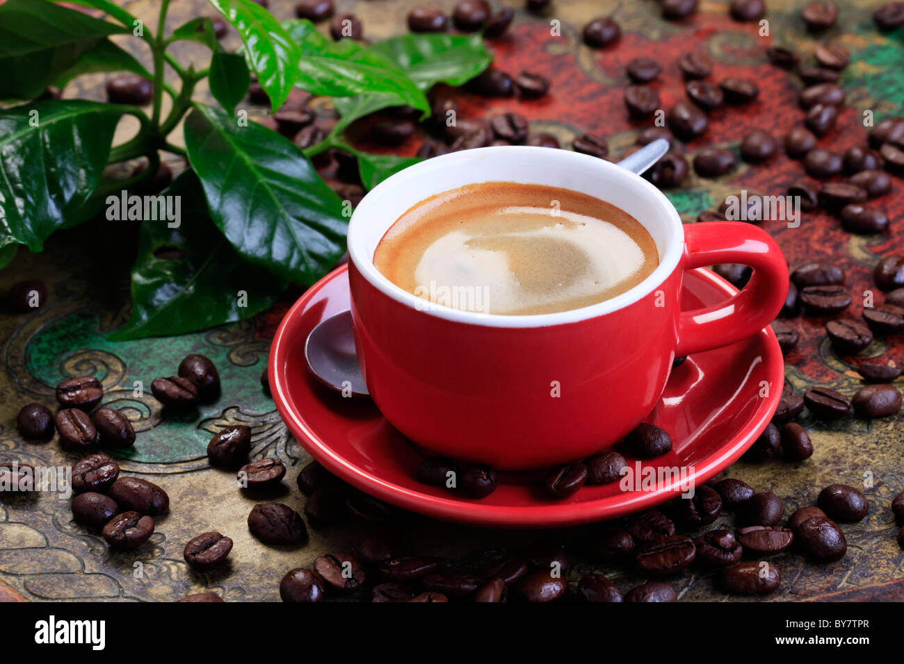 Taza de café con suave espuma marrón Foto de stock