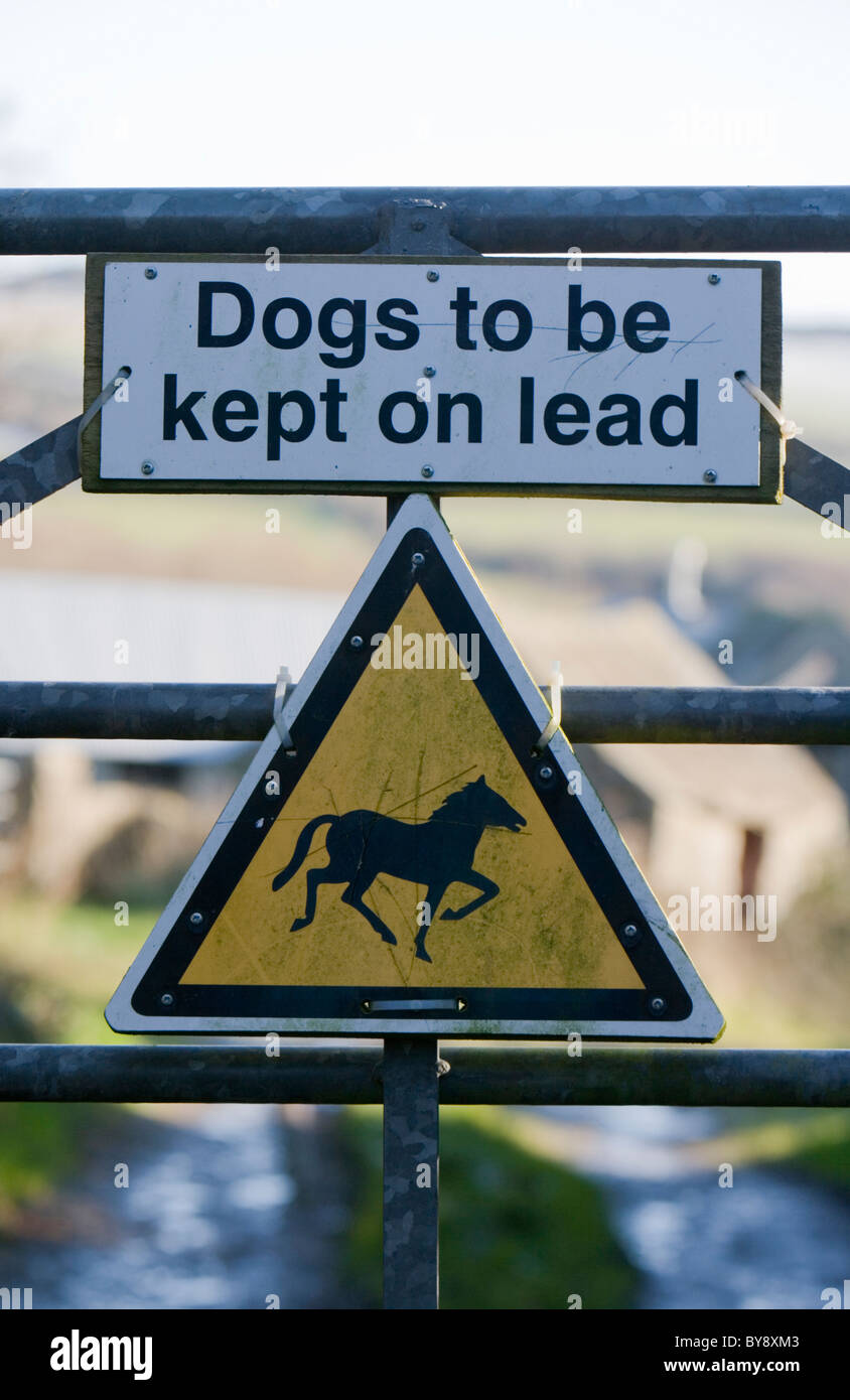 Signo de perro perros para mantenerse sobre el plomo signpost granja, Gales Foto de stock