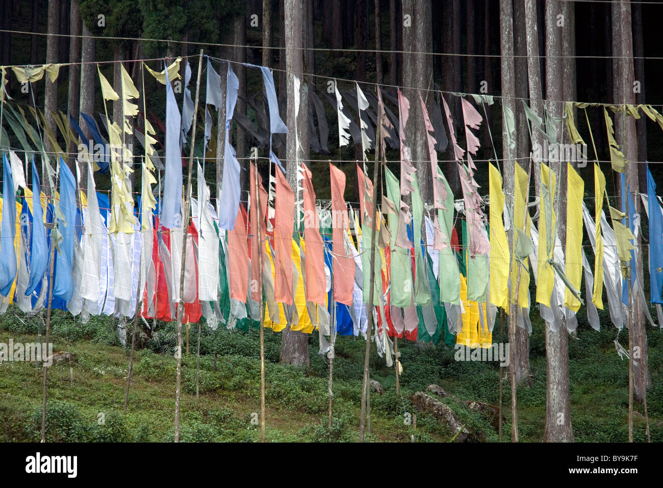 Banderas de oración budista, planteadas por la paz del alma, el aleteo de una ladera rural en el noreste de la India Foto de stock