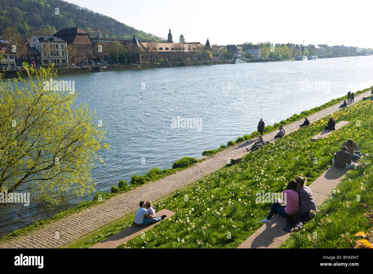 En la orilla del río Neckar, Heidelberg, Palatinado, Baden-Wurtemberg, Alemania, Europa Foto de stock