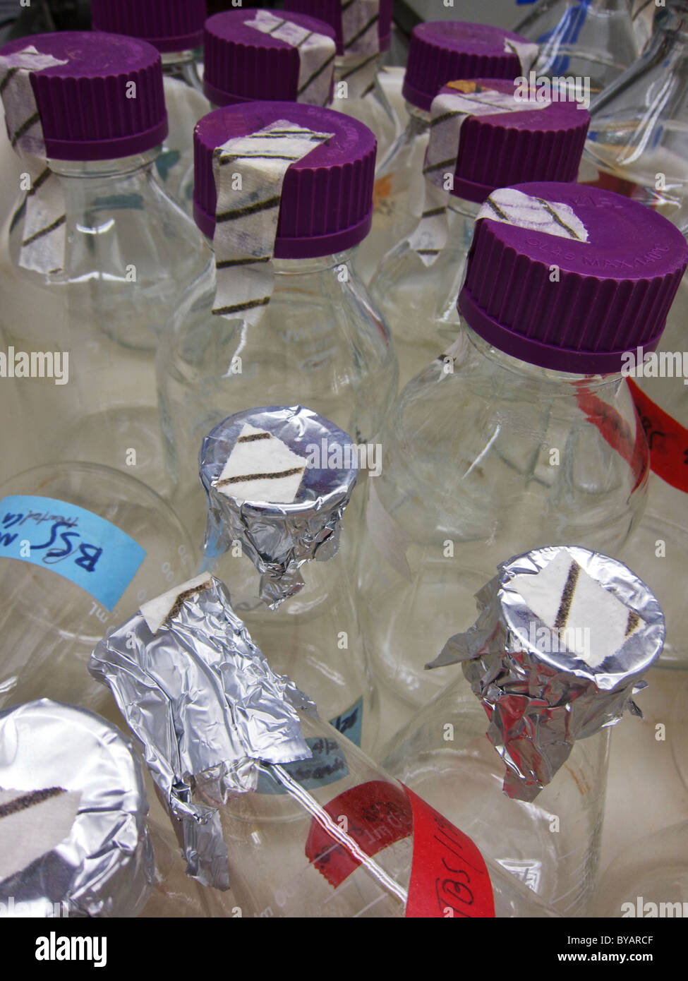 El material de vidrio de laboratorio después de la esterilización