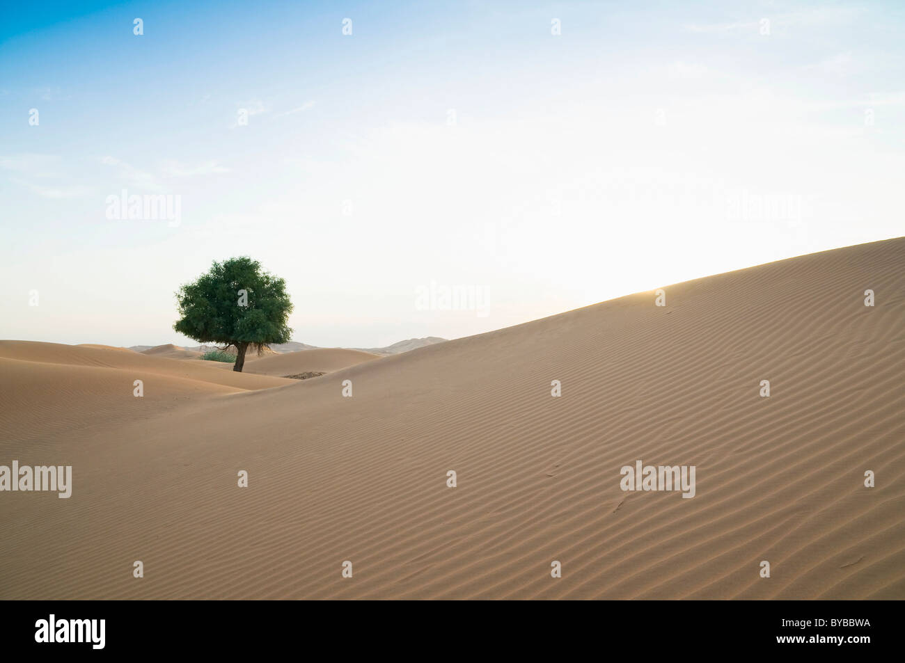 Rub' al Khali desierto en la frontera de Omán y el Emirato de Dubai, Oriente Medio, Sudeste de Asia Foto de stock