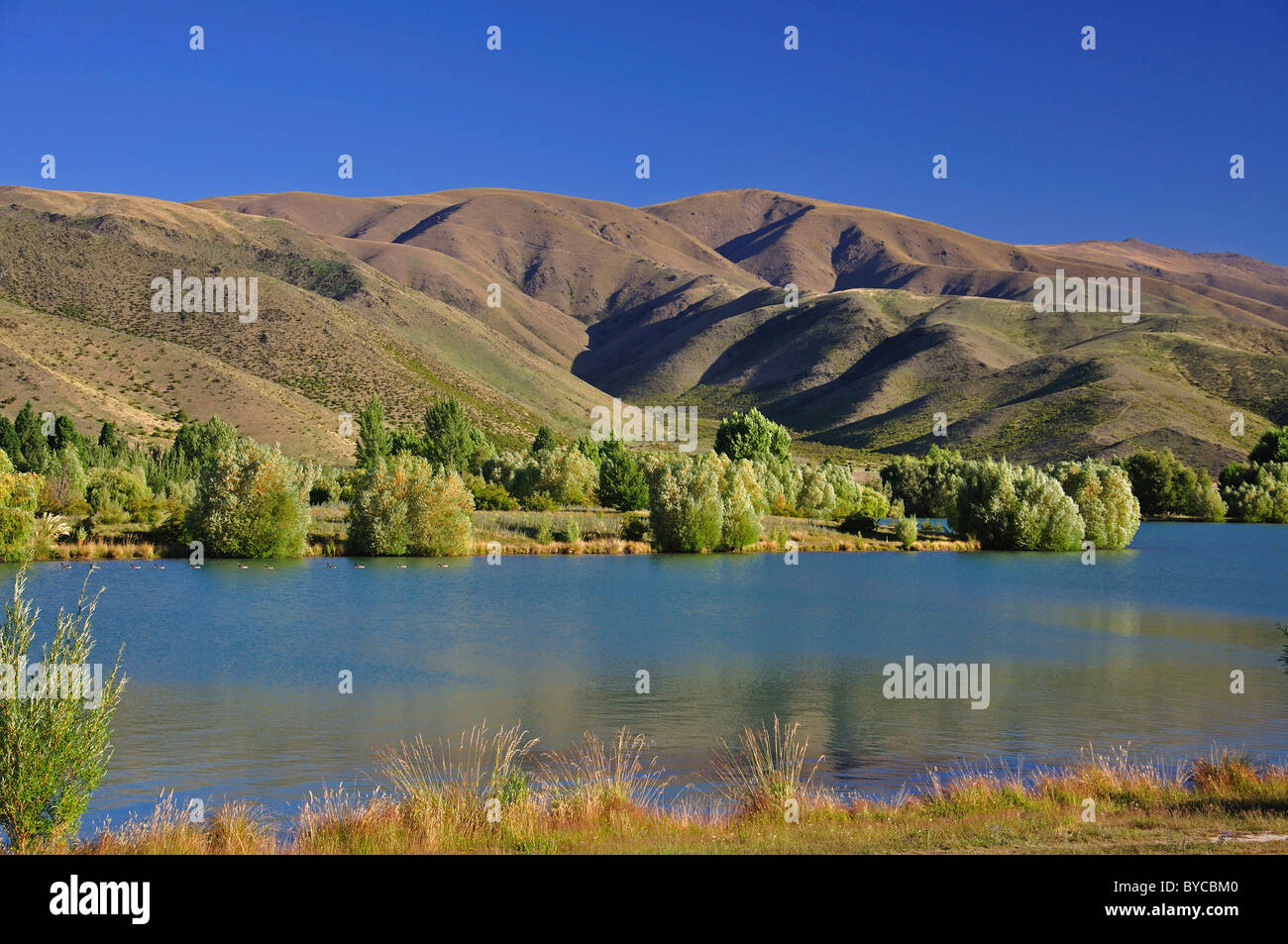 Brazo del Lago Ruataniwha Wairepo, la región de Canterbury, Isla del Sur, Nueva Zelanda Foto de stock