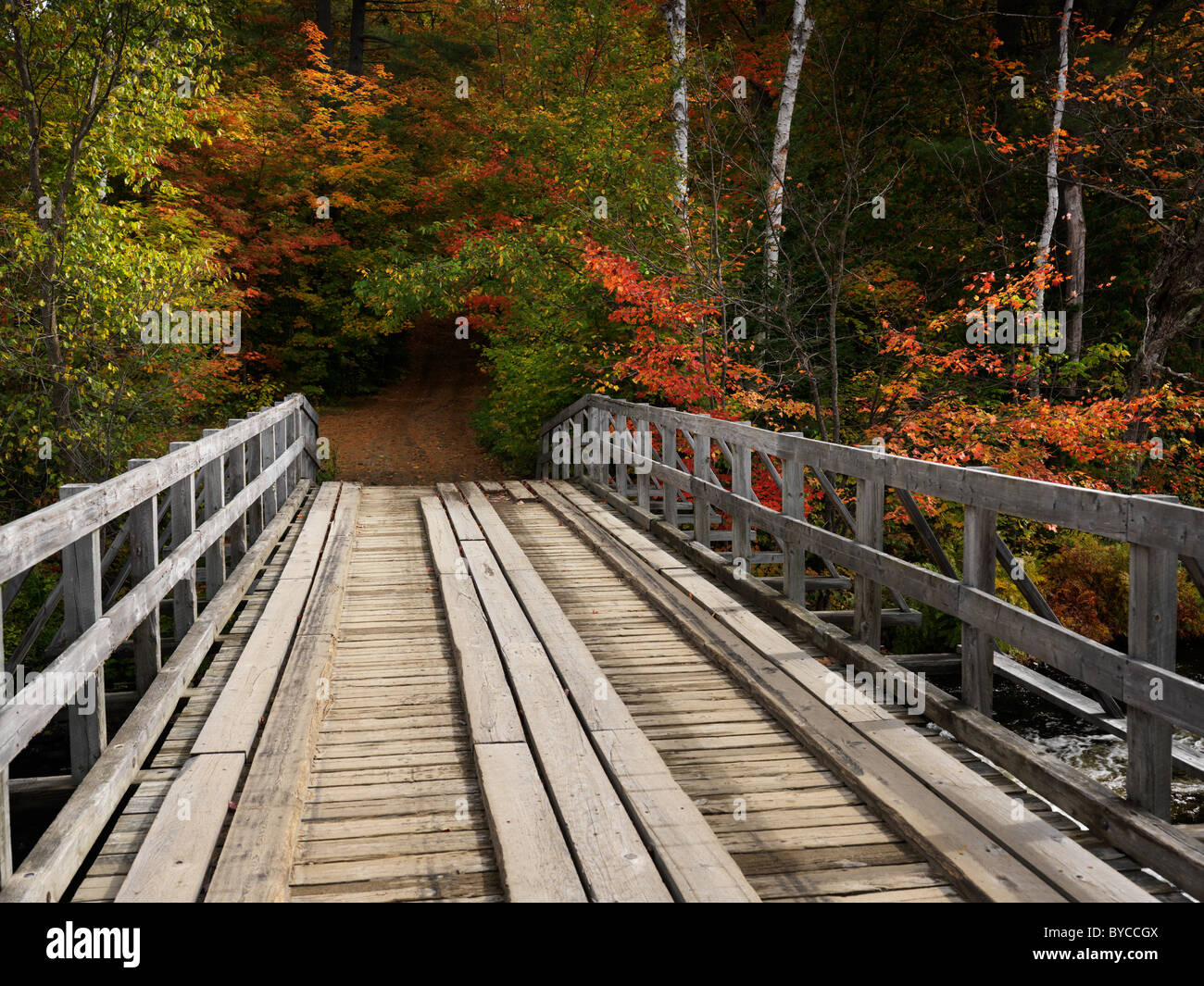 Puente de madera sobre un río. Campo caen escenario natural. Oxtongue river, Algonquin, Muskoka, Ontario, Canadá. Foto de stock