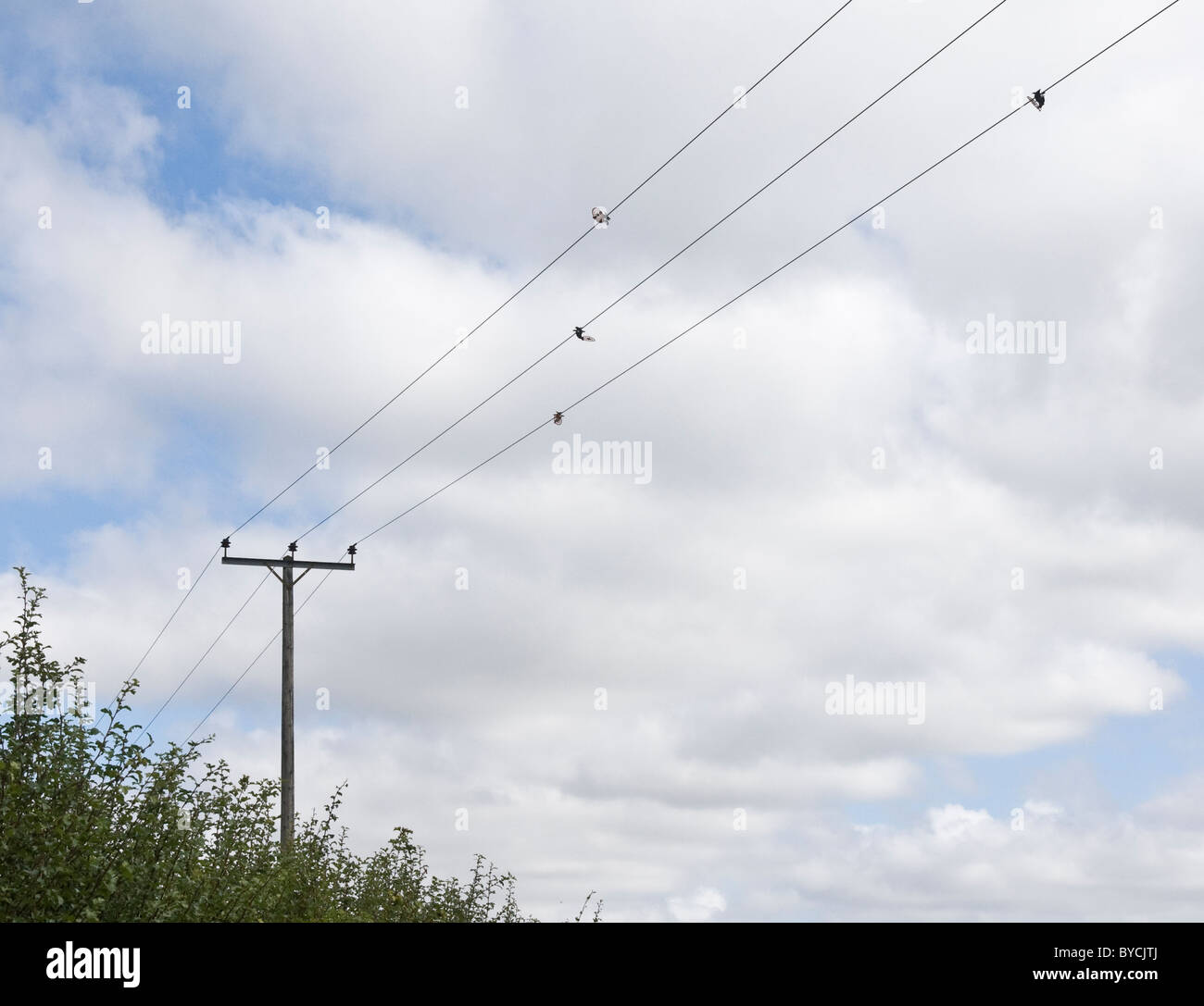 Sobrecarga de cables de electricidad con bird flight desviadores conectados para evitar que el agua pájaro volando en los cables. Grantham (Canal) Foto de stock
