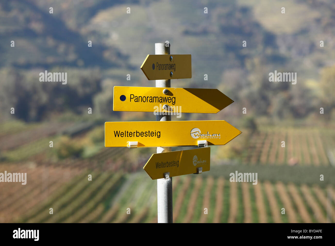 Signpost, senderos, 'Panoramaweg', Alemán para "ruta panorámica" y Welterbesteig trail, Rossatz, valle de Wachau Foto de stock