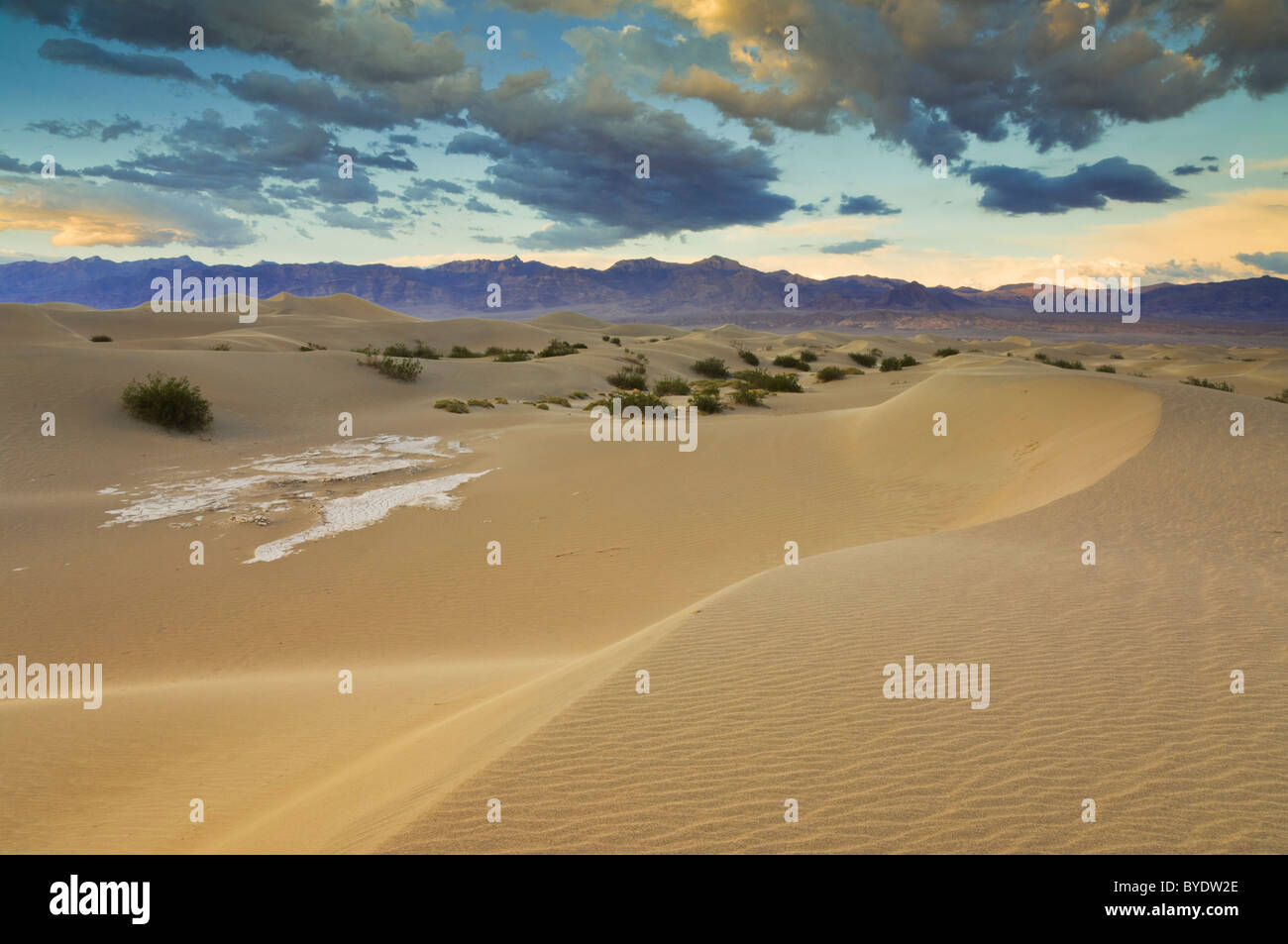 Ondulaciones de arena en las dunas del Mesquite Apartamentos dunas de arena de Stovepipe Wells, el Parque Nacional Valle de la Muerte, California, EE.UU. Foto de stock