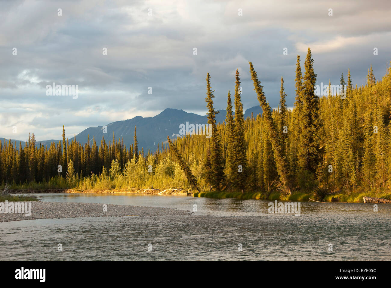 Luz del atardecer, boreal abetal, orilla del río Liard superior, detrás de las montañas Pelly, Territorio de Yukon, Canadá Foto de stock