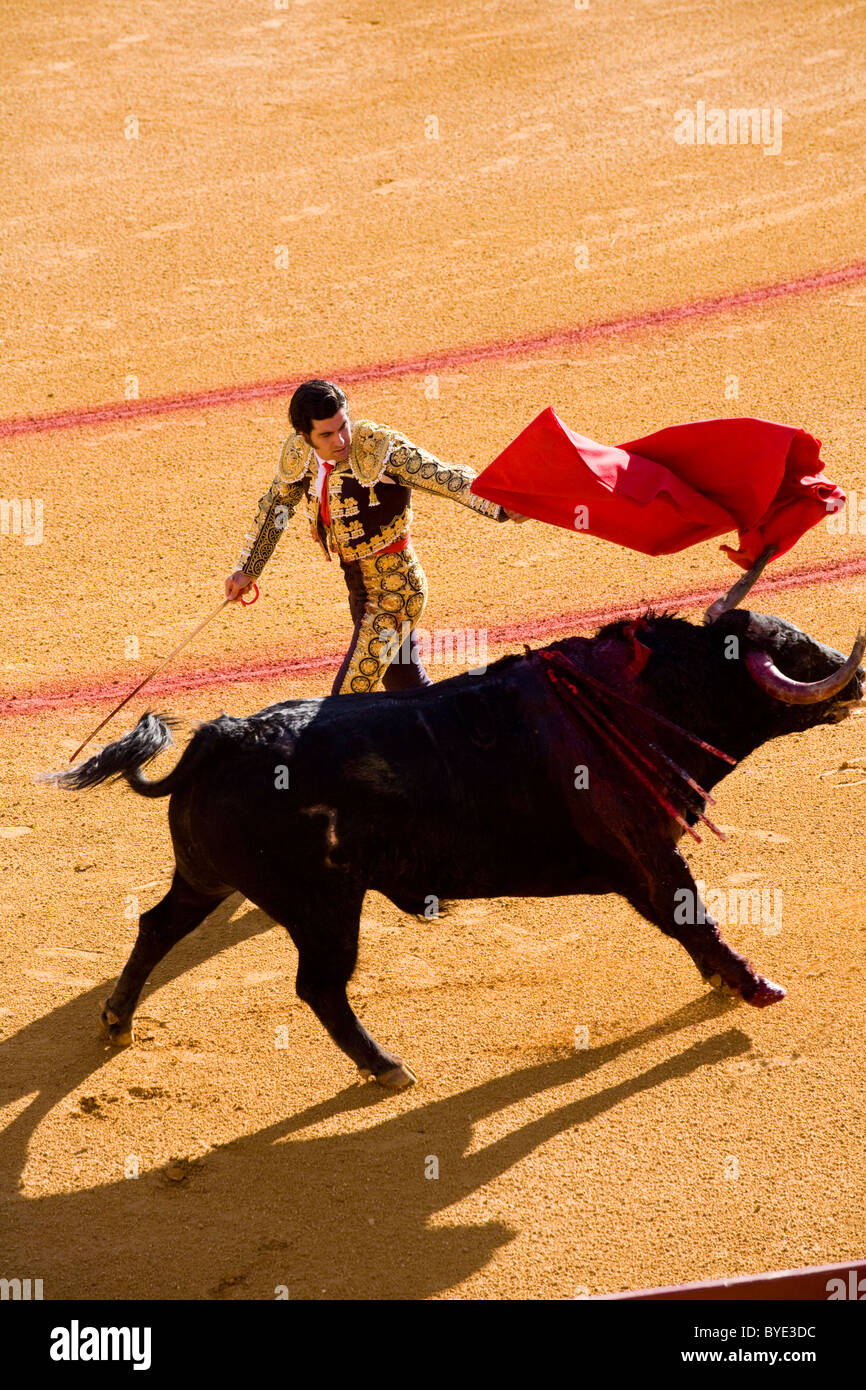 Bull fighter / matador / torero / lucha / corrida de toros en la Plaza de Toros de Sevilla, la Plaza de Toros de la Maestranza. Sevilla, España. Foto de stock