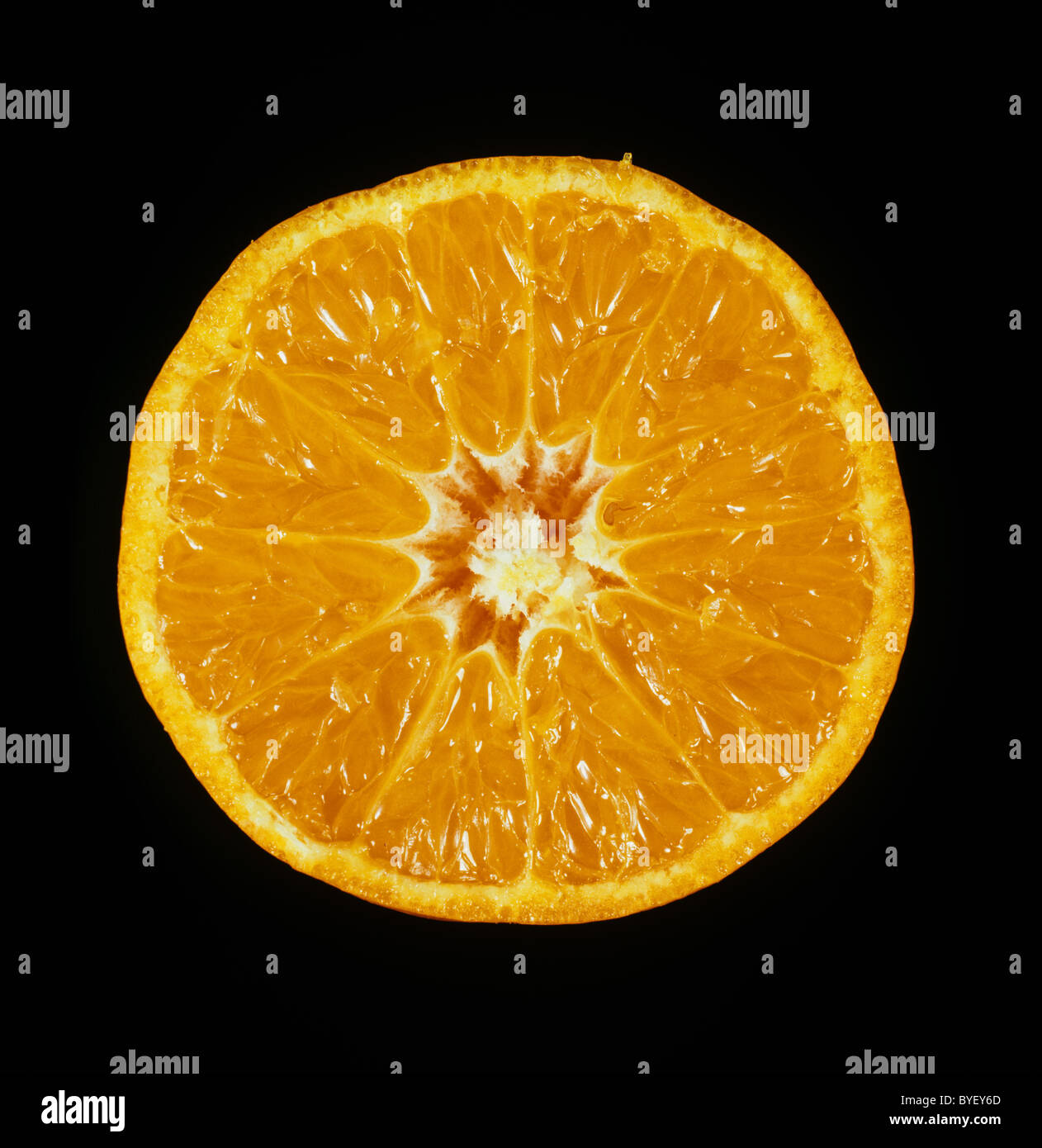 Sección cítricos mandarina variedad Fortune Foto de stock