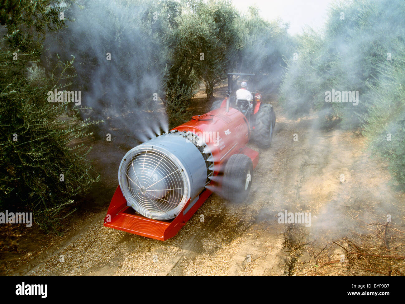 Agricultura - La aplicación de productos químicos, la fumigación en un olivar / El Condado de Tulare, California, Estados Unidos. Foto de stock