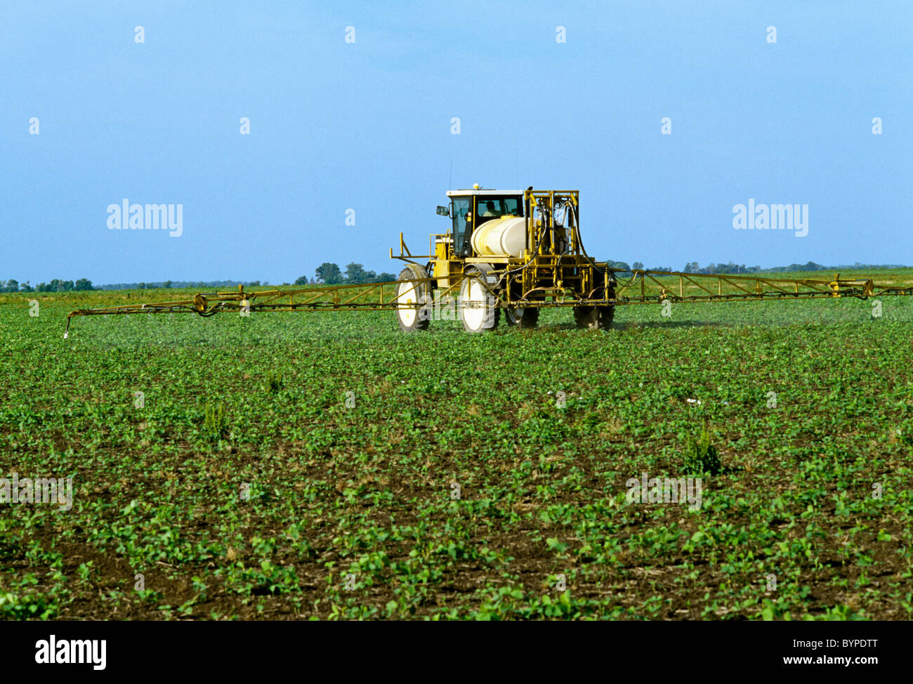 Roundup ready soybeans fotografías e imágenes de alta resolución Alamy