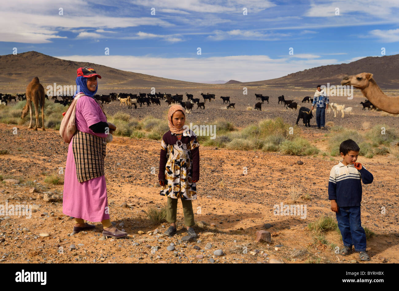 Familia nómada bereber árabe de pastoreo de cabras y camellos en el tafilalt plain en Marruecos Foto de stock