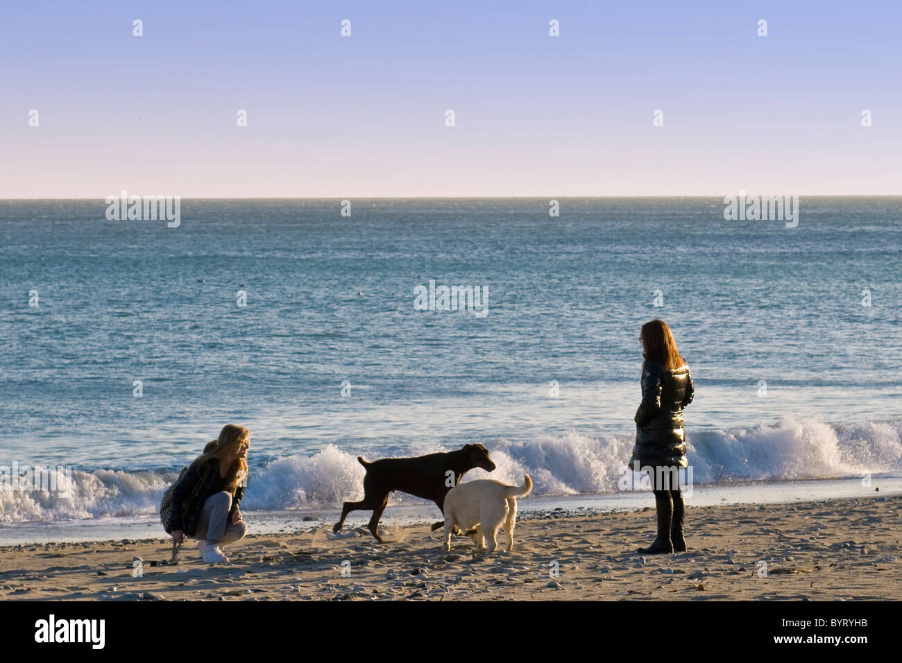 Las mujeres con perros, Celle Ligure, provincia de Savona, Italia Foto de stock