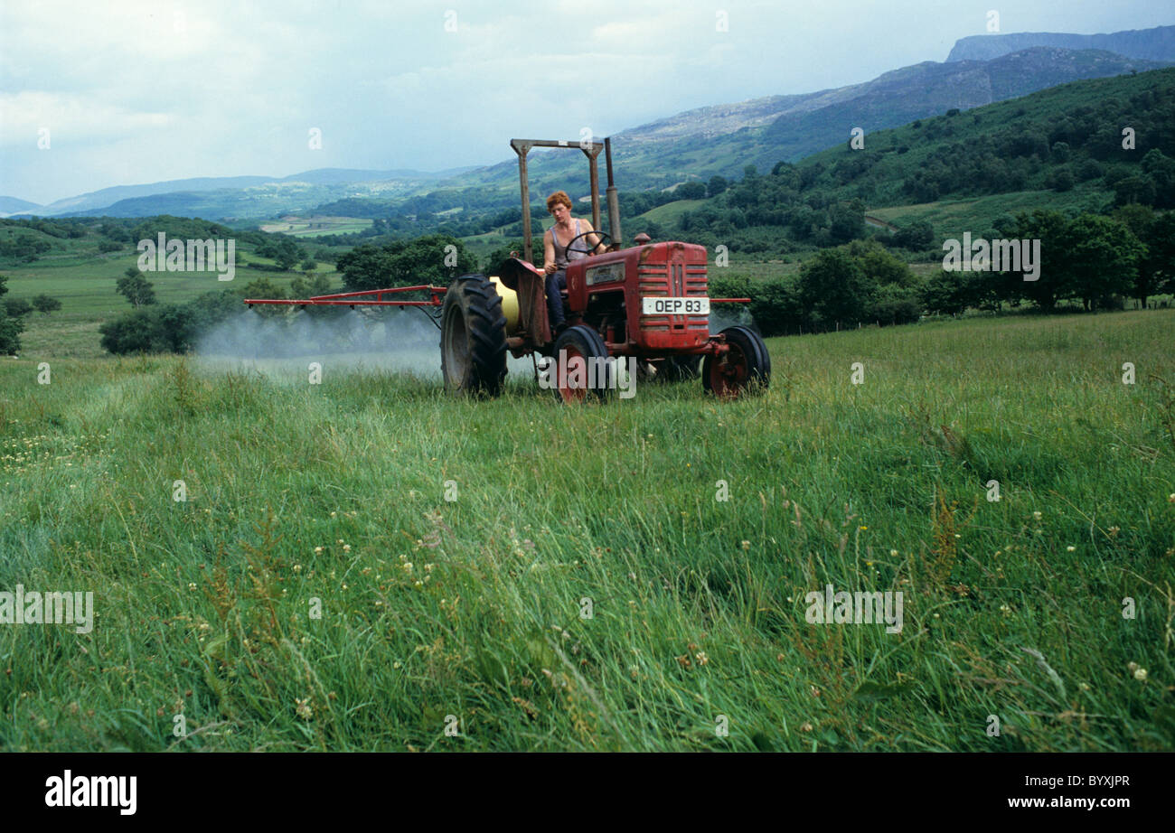 Tractor viejo y la pulverizadora pulverizando los prados con herbicida antes de arar y renovación Foto de stock