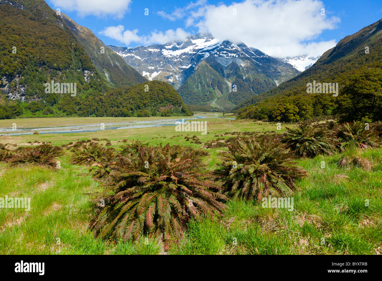 River Valley en Nueva Zelanda Foto de stock