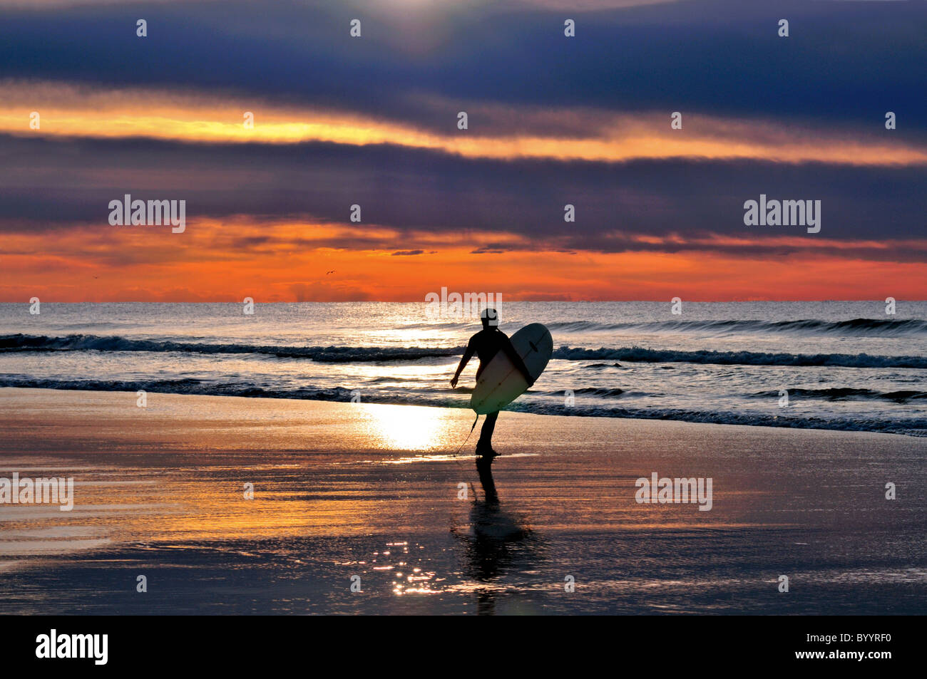 Portugal, Algarve: surfista en la playa Praia do Amado Foto de stock