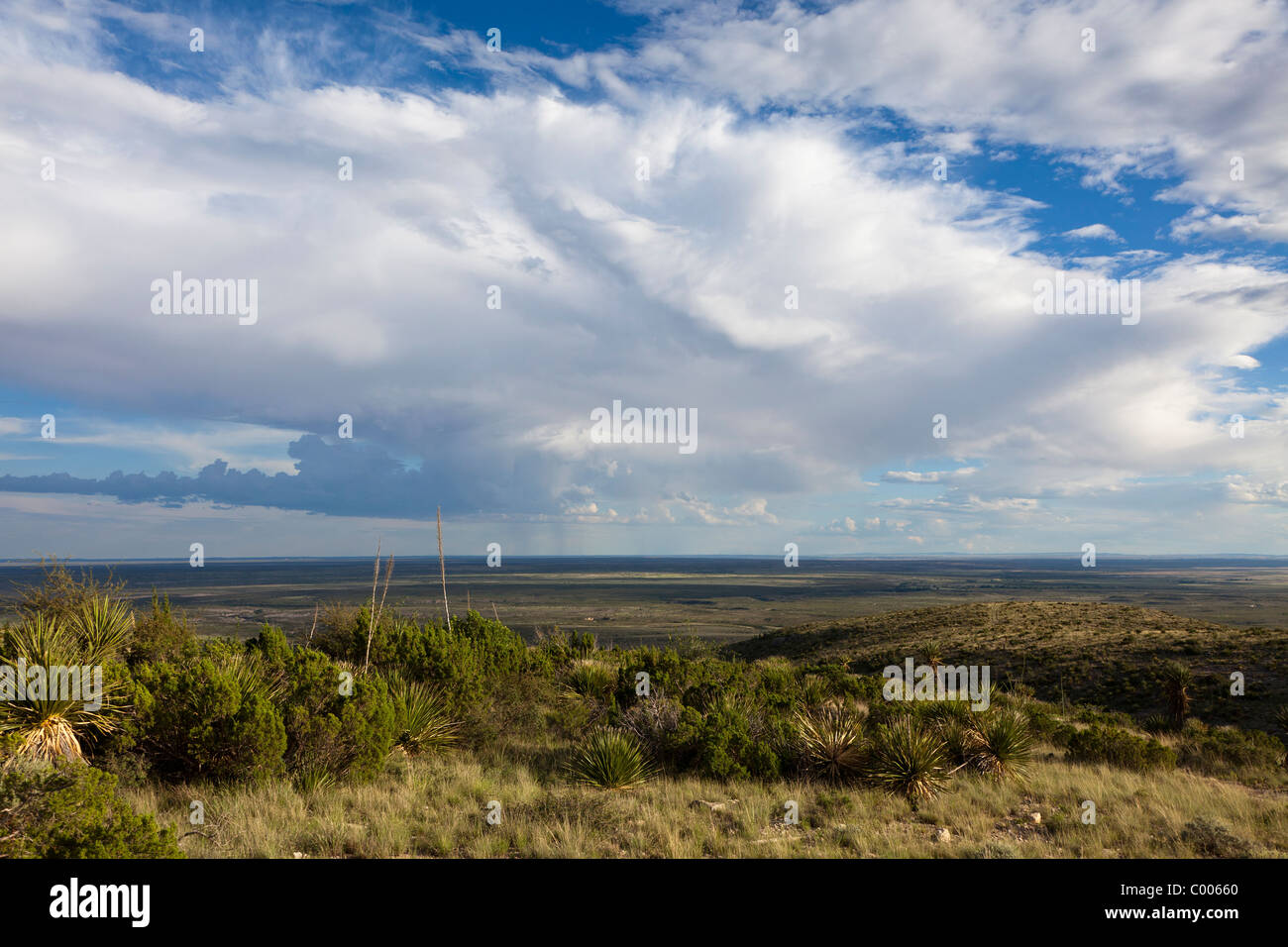 Desierto de Chihuahua Nuevo México, EE.UU. Foto de stock