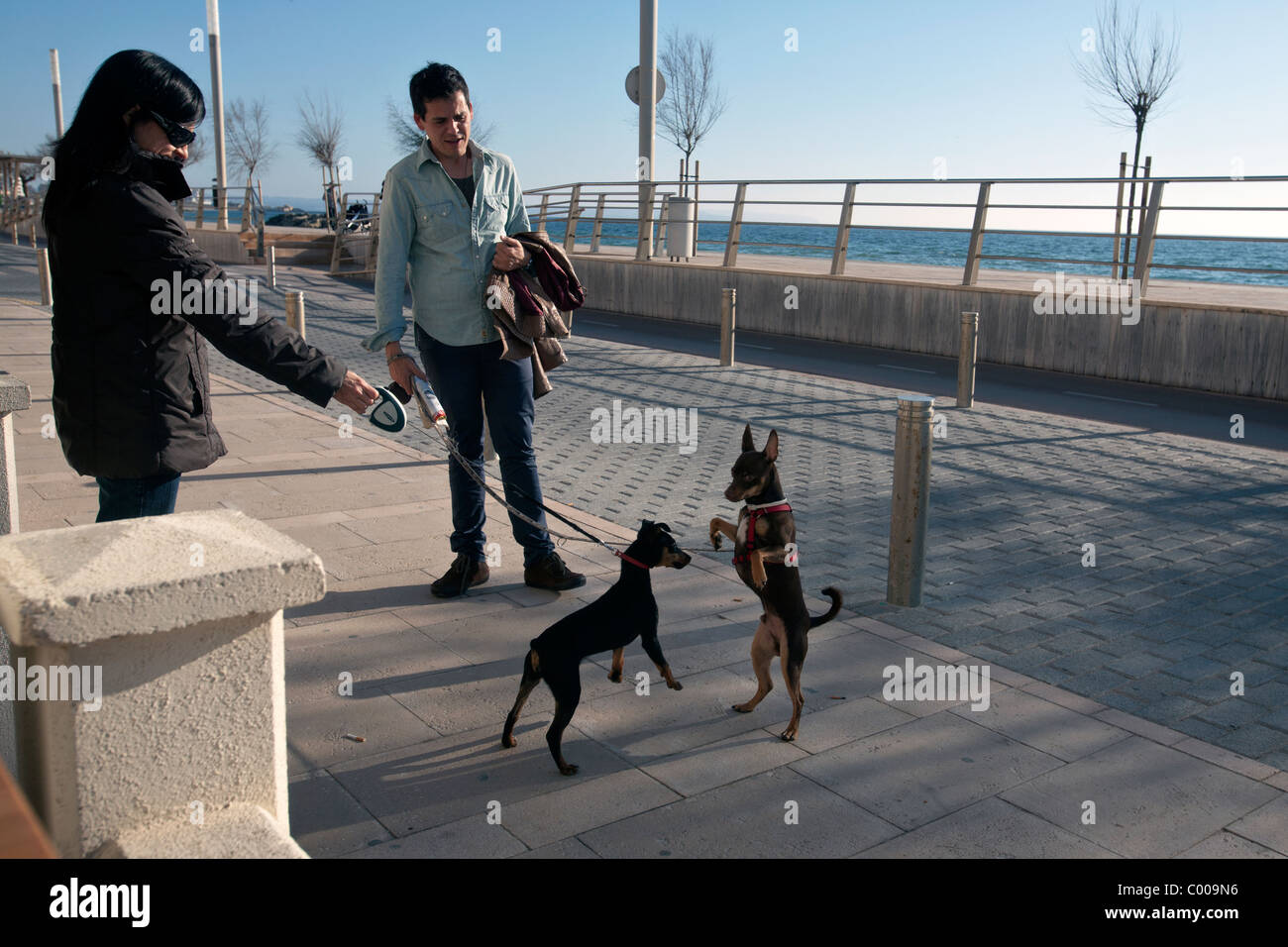 Mallorca para perros fotografías e imágenes de alta resolución - Alamy