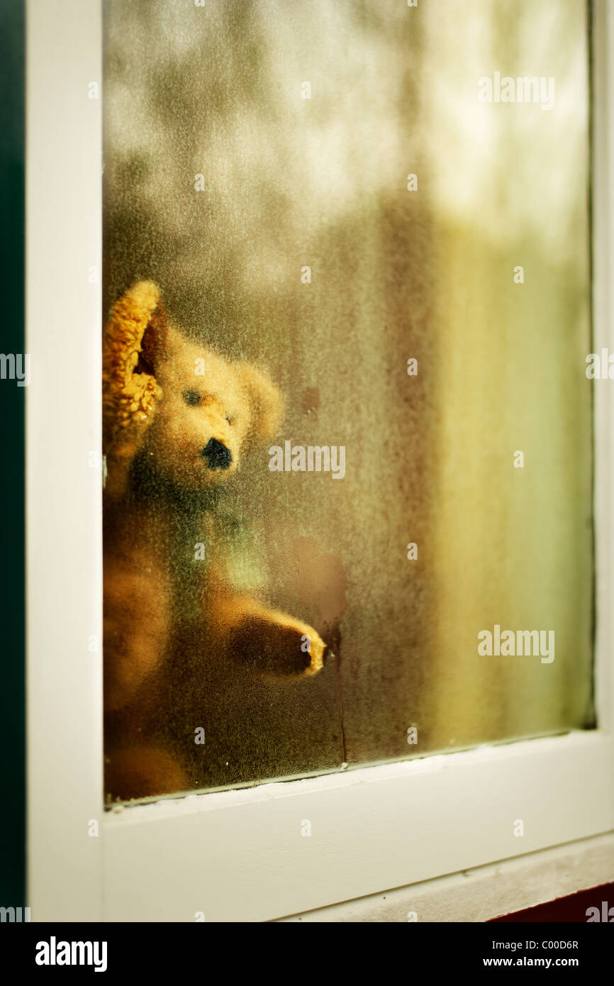 Teddy bear parece fuera de la ventana Foto de stock