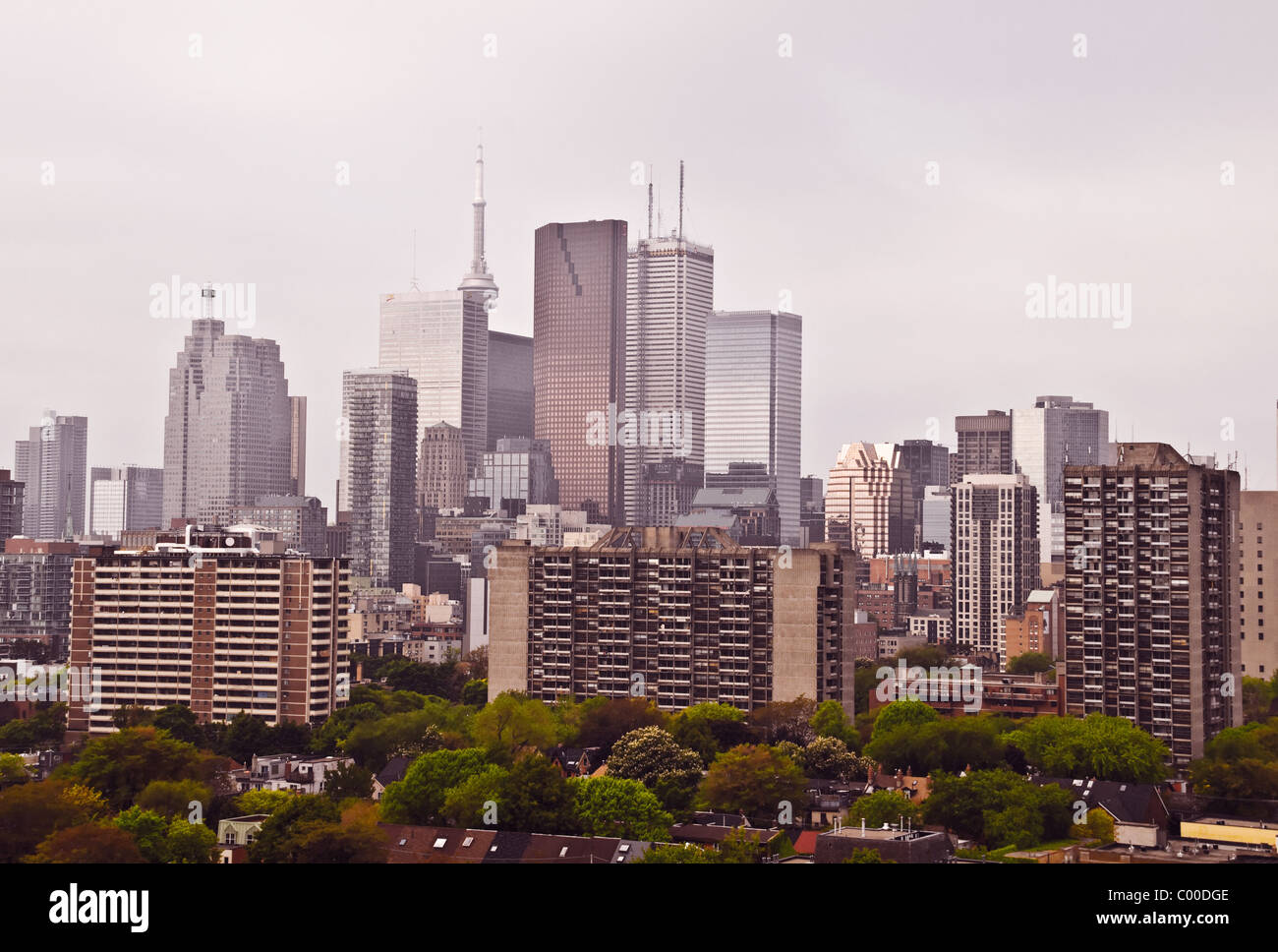 Un horizonte de edificios de oficinas y apartamentos en el centro y el barrio residencial de Cabbagetown en primer plano, Toronto, Ontario, Canadá. Foto de stock