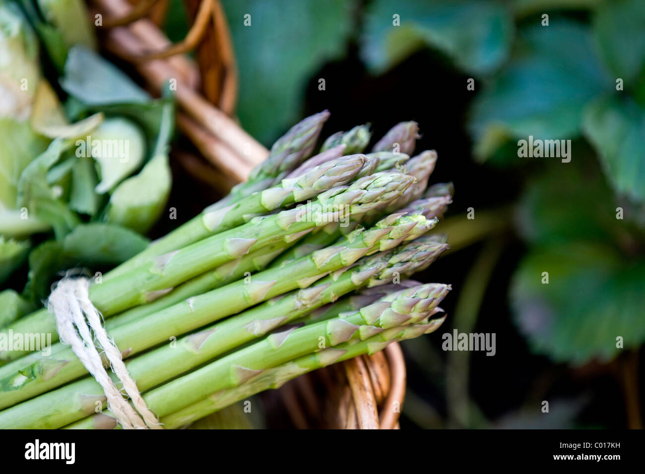 Un manojo de espárragos en una cesta de verduras frescas Foto de stock