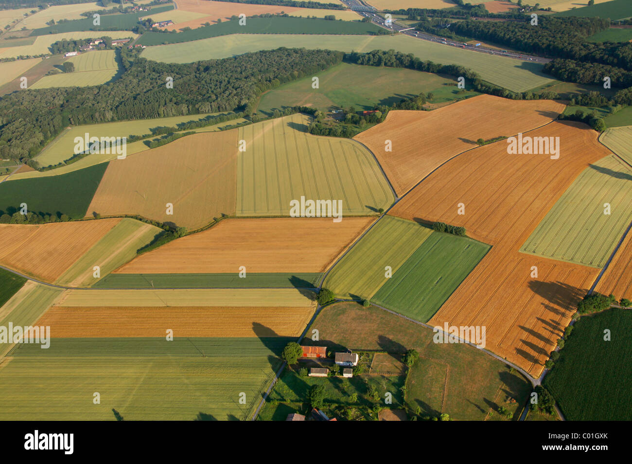 Foto aérea, los campos de maíz, la comunidad agrícola de Altenboegge, Boenen, área de Ruhr, Renania del Norte-Westfalia, Alemania, Europa Foto de stock