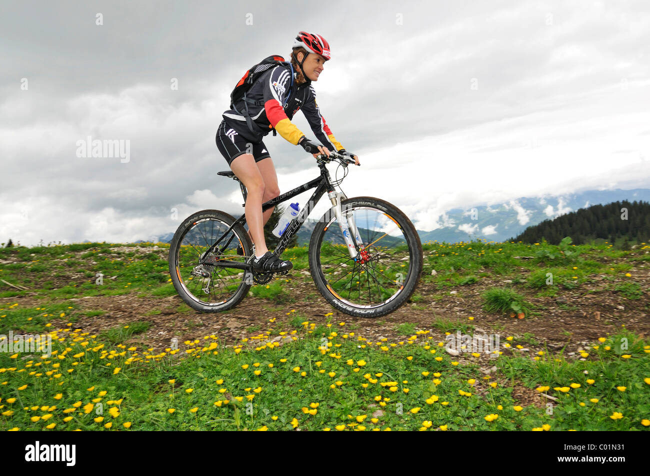 Evi Sachenbacher-Stehle, medallista de oro de Vancouver, bicicleta de montaña, la capacitación sobre el Eggenalm pastizales alpinos, Reit im Winkl Foto de stock