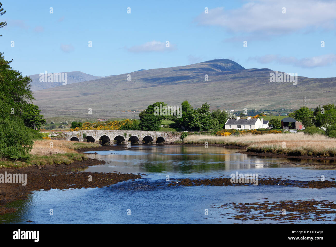 Puente Burrishoole cerca de Newport, en el condado de Mayo, Connacht, República de Irlanda, Europa Foto de stock