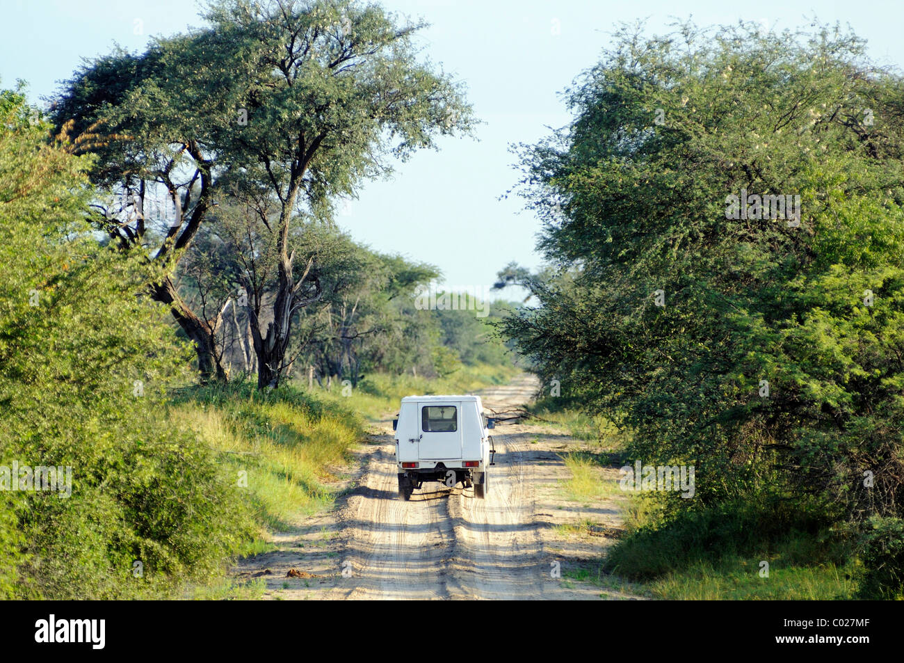 Vehículo off-road por una pista de tierra en el Parque Nacional de Moremi, el delta del Okavango, Botswana, África Foto de stock