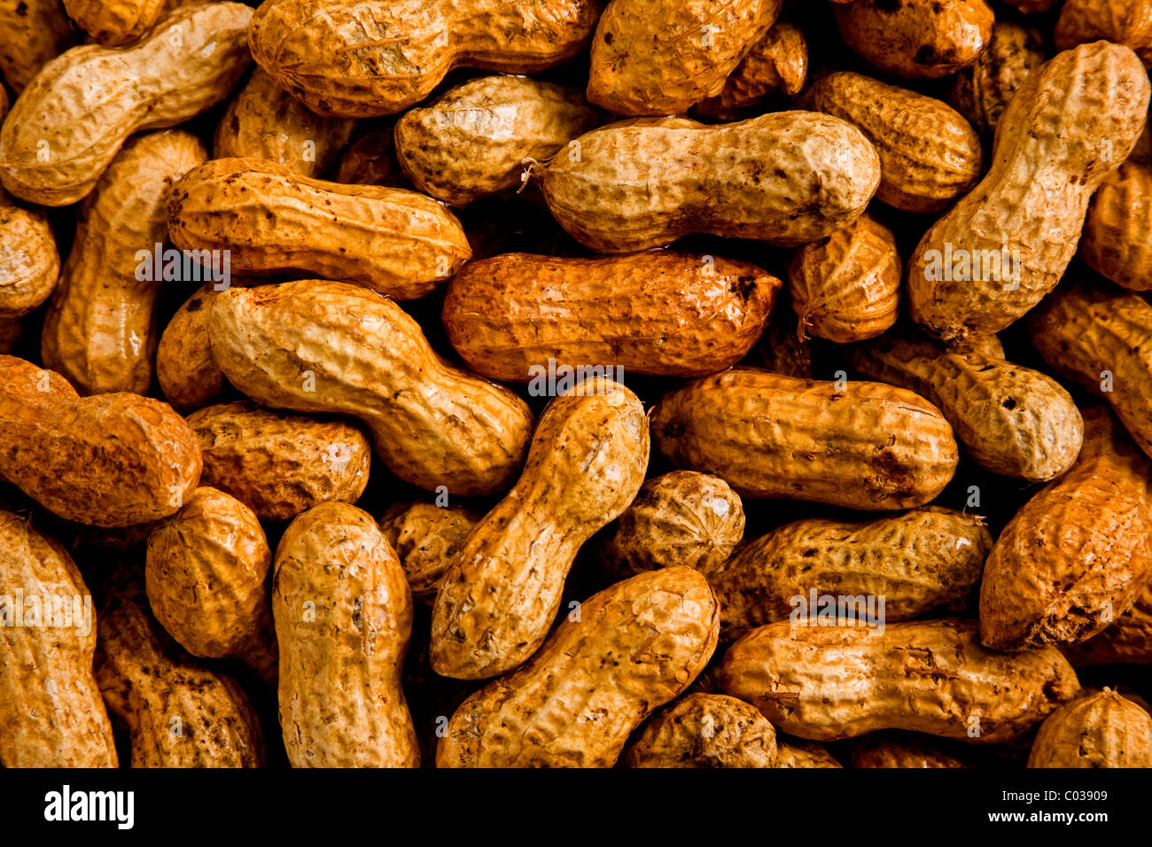 Un montón de cacahuetes en conchas humedecida con agua Foto de stock