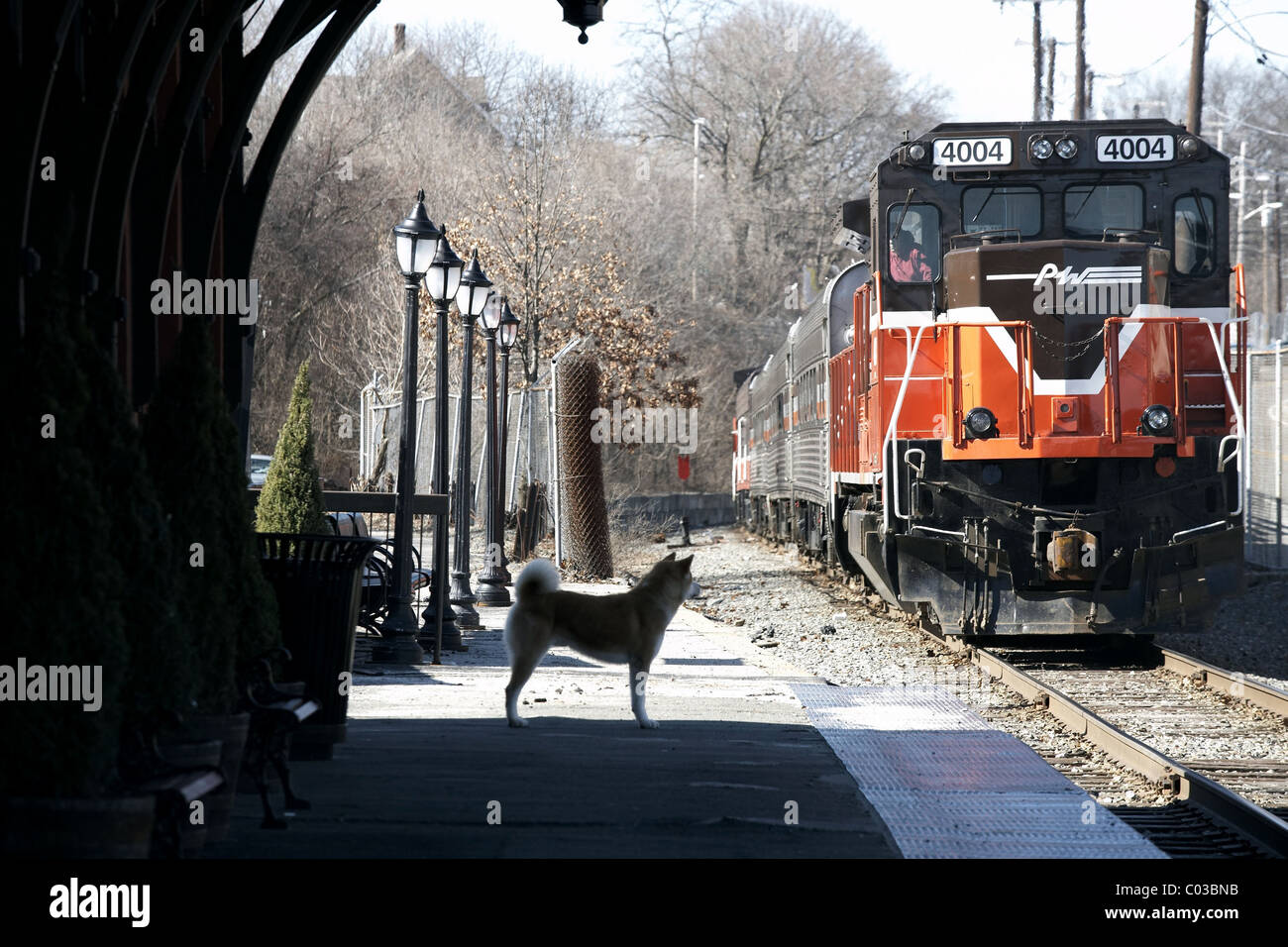 Hachiko Una Historia De Perros Fotos e Imágenes de stock Alamy