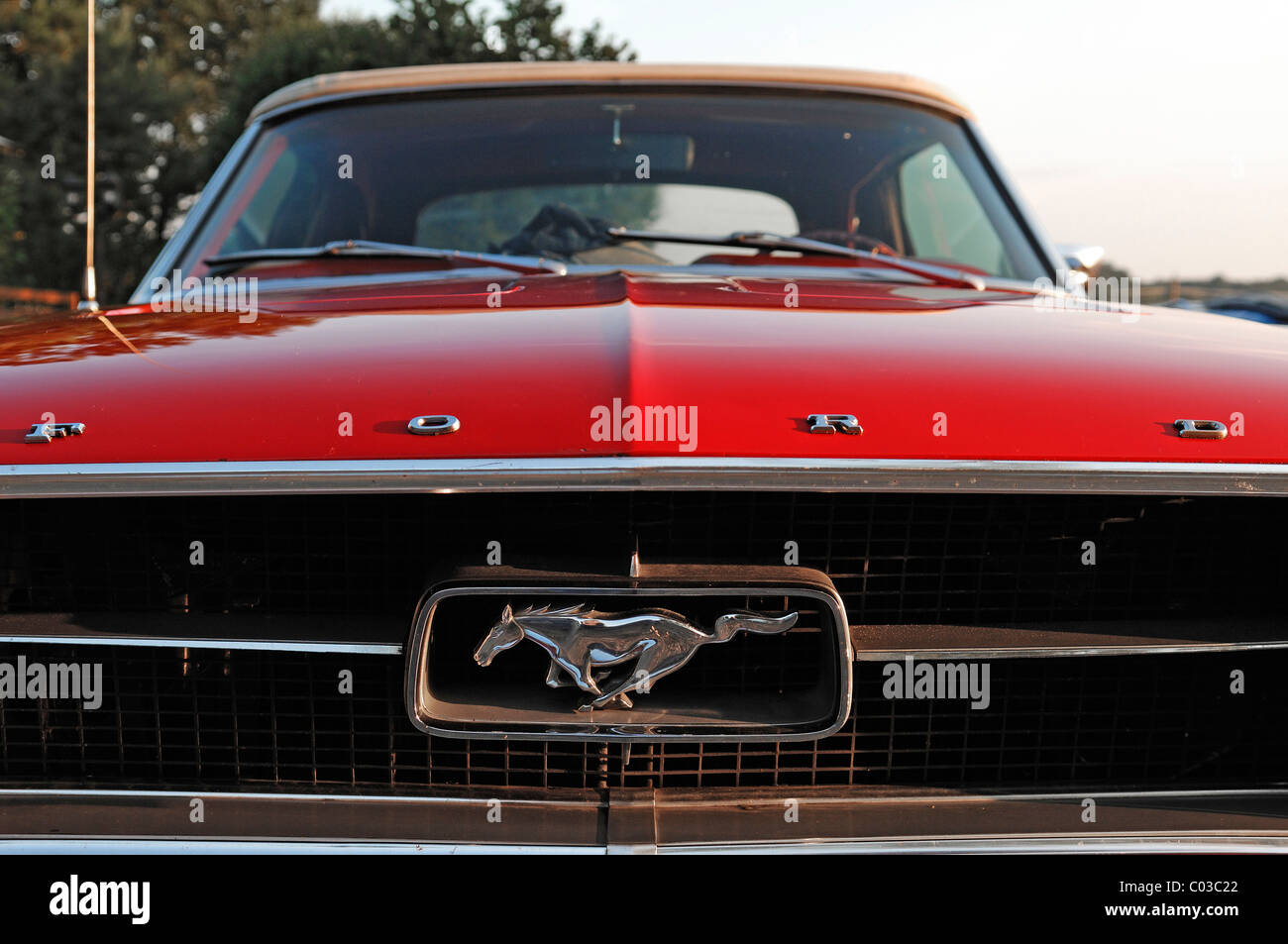 Detalle de un coche clásico, calandra y emblema de un Ford Mustang Convertible, construido en 1967, de 147 kW, 200 hp Foto de stock