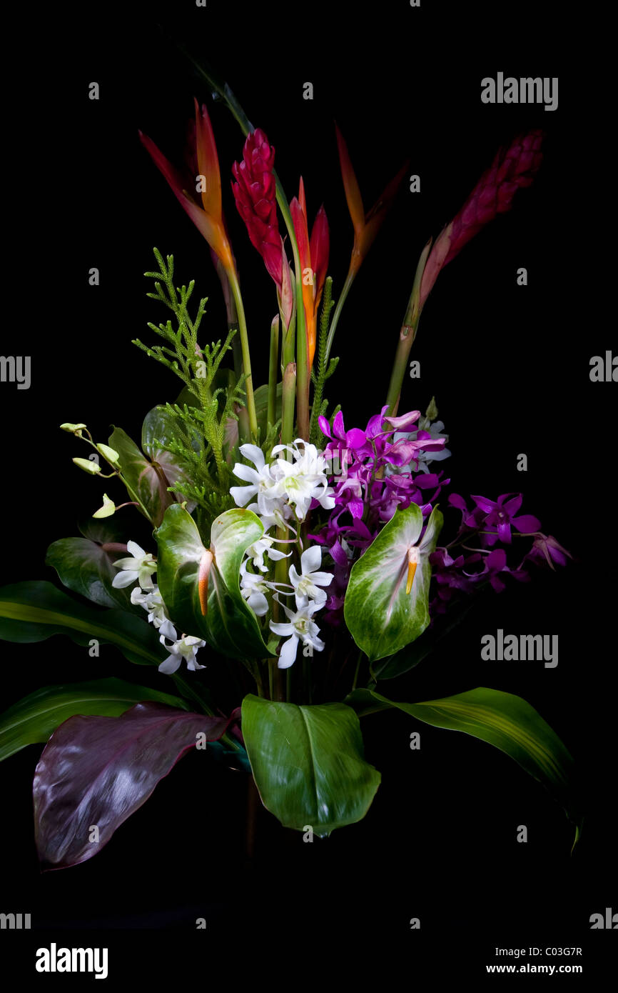 Bouquet de flores tropicales sobre un fondo negro Foto de stock