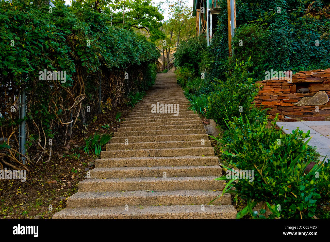 Antigua escalera que sube por la ladera en un lugar rodeado por una exuberante vegetación. Foto de stock
