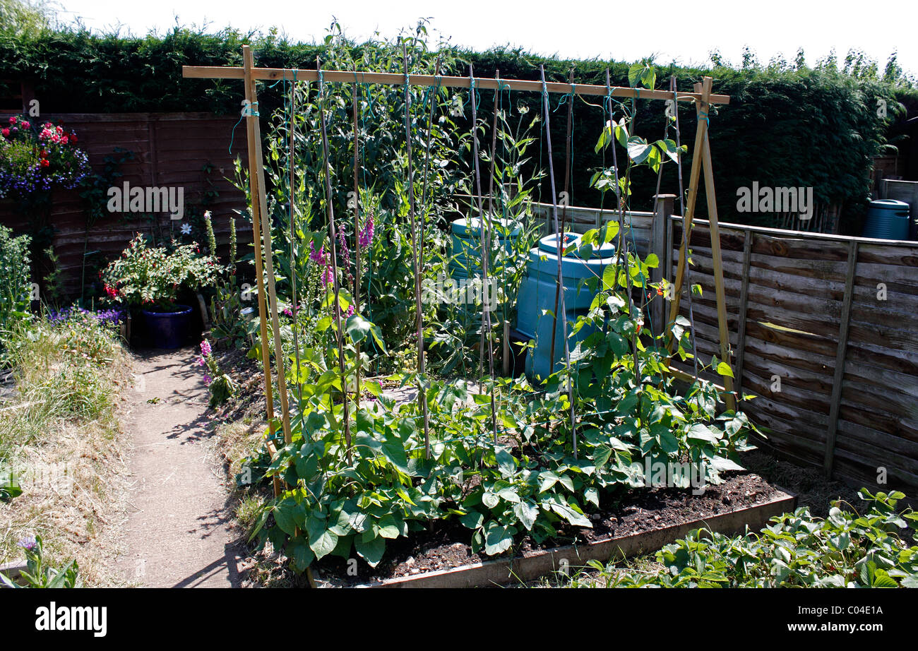 Una parcela de hortalizas en un pequeño jardín trasero doméstico en las zonas rurales. Foto de stock