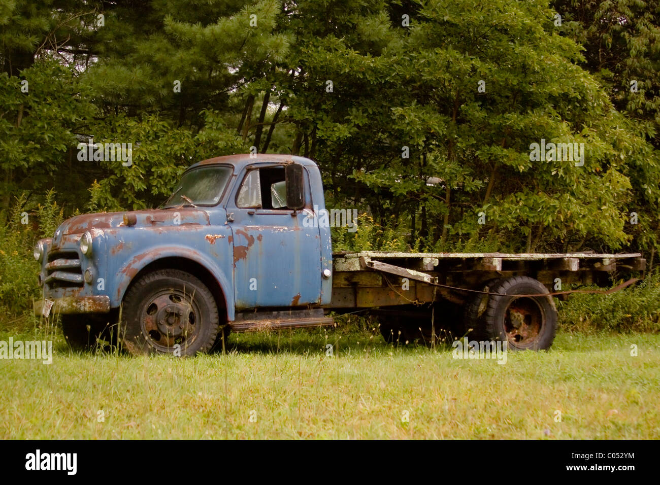 Un 1950 vintage oxidado Dodge Ram azul uso de granja de camión en un campo  a lo largo de una línea de árboles cerca de la Virginia Blue Ridge Parkway  Fotografía de