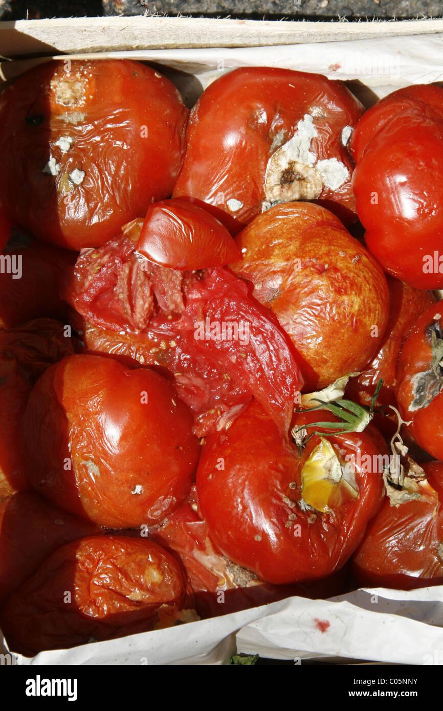Box tomatoes in street market fotografías e imágenes de alta resolución -  Alamy