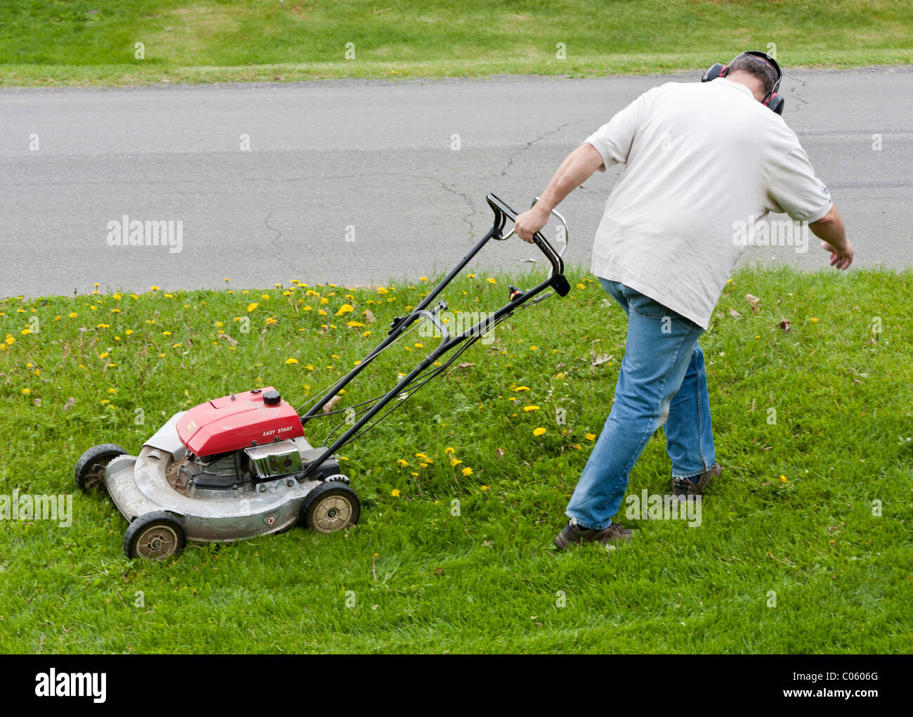 Resorte de corte de césped tirando. Un siega su césped verde y exuberante con gas powered cortadora de césped. Él usa protección los oídos Fotografía de stock - Alamy