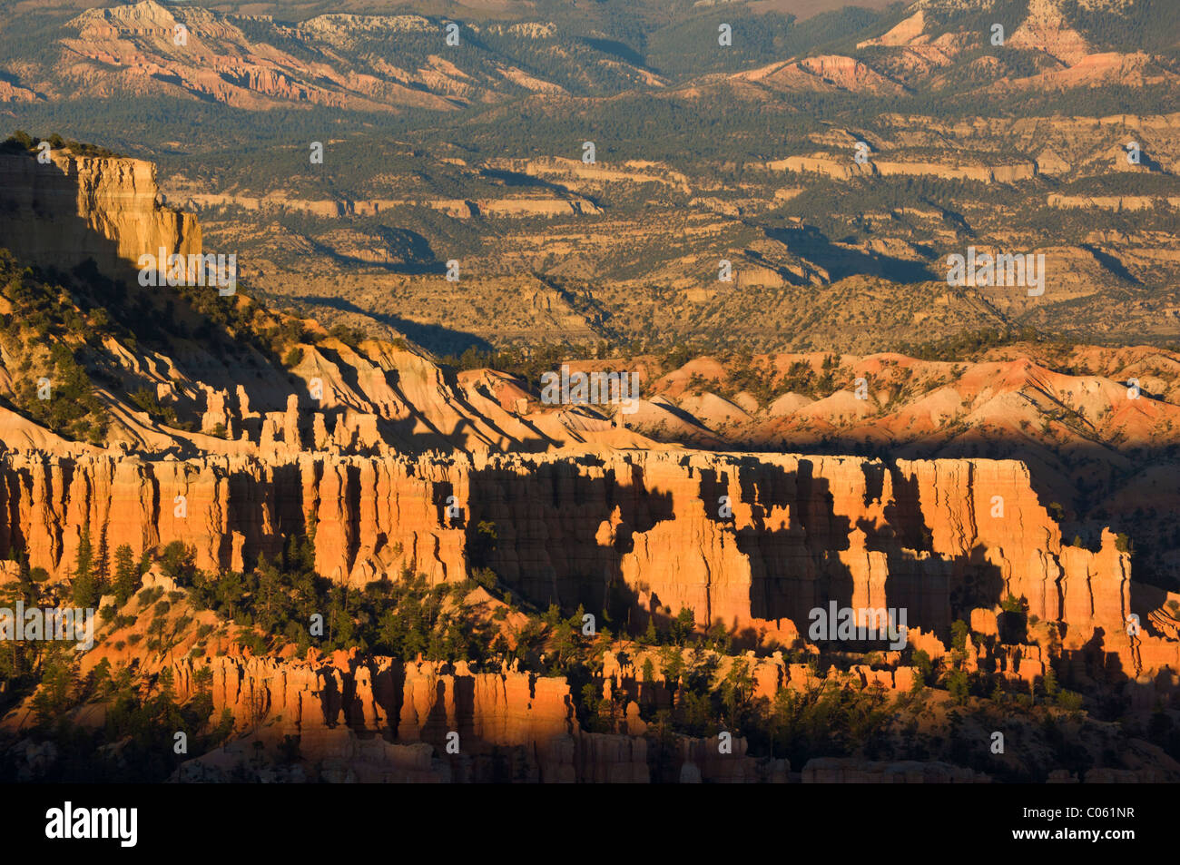 Amanecer sobre la arenisca hoodoos en el Anfiteatro Bryce, Bryce Canyon National Park, Utah, EE.UU. Foto de stock