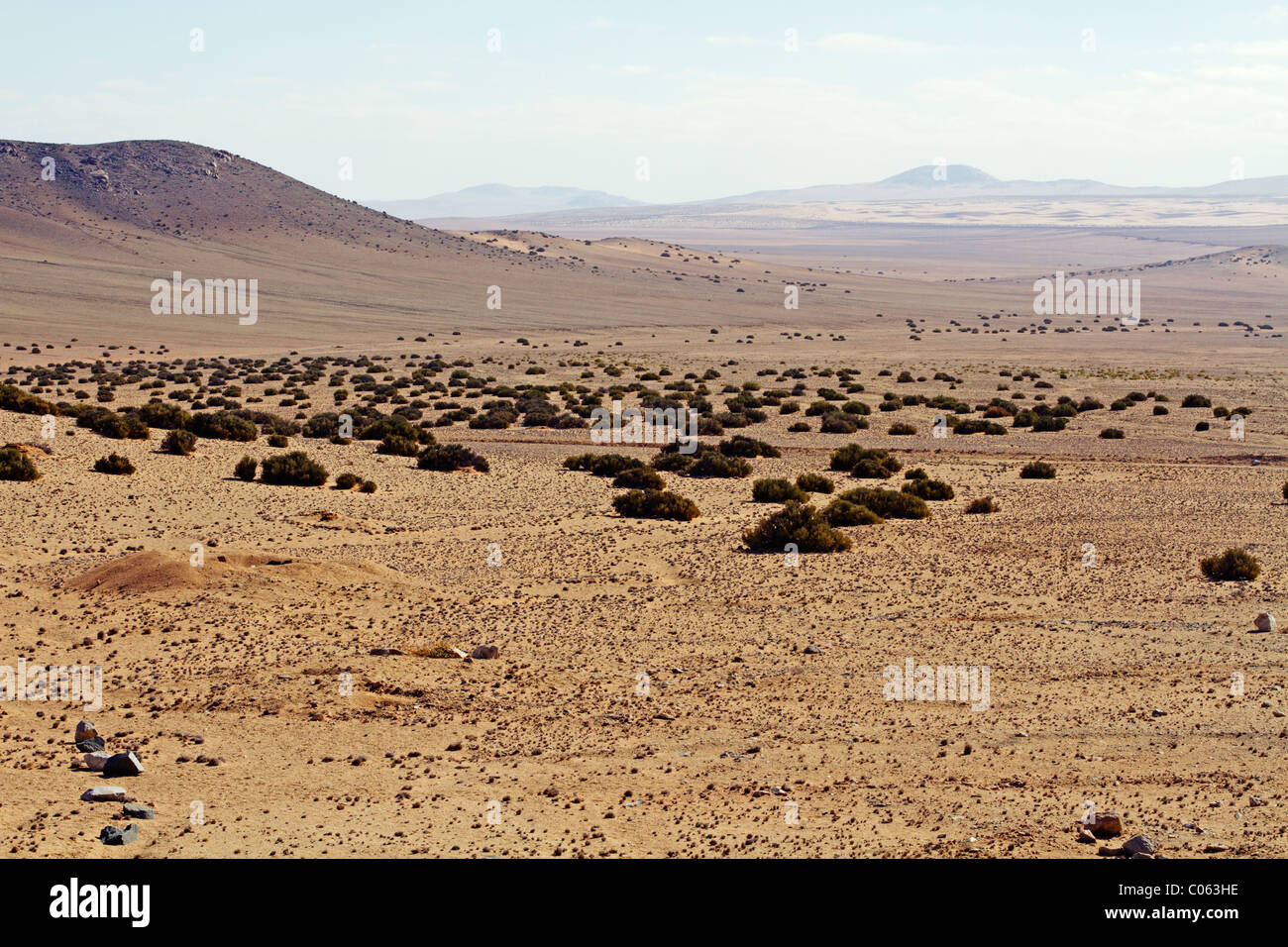 Namibia desierto paisaje de colinas en el fondo Foto de stock
